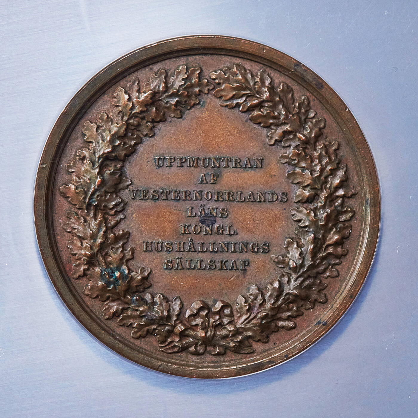 【俄甄集藏】2025年(045)12-03 星期三 晚 19:30 全场包邮 瑞典19世纪西诺尔兰省皇家农业协会大铜章，NGC MS62，巧克力包浆，高浮雕，著名女性设计师丽·阿尔伯恩作品，直径：47mm，盒体边缘有小破损，见详图