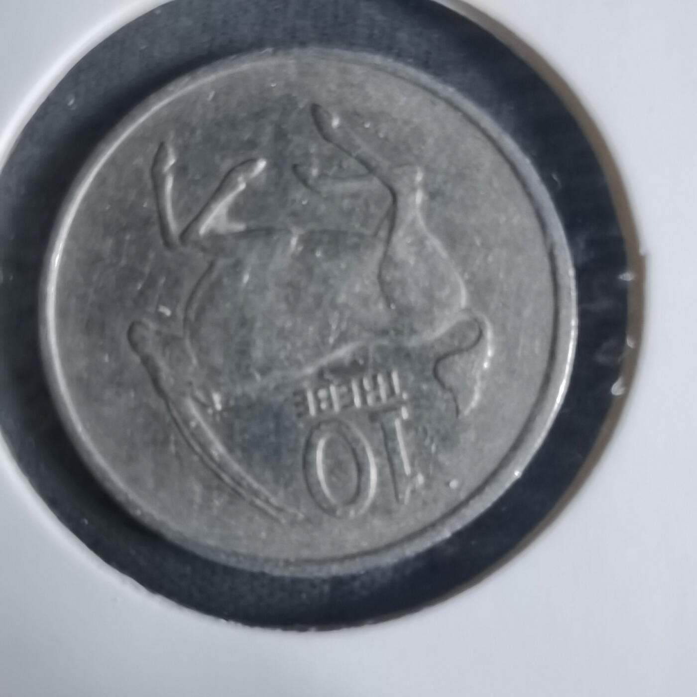 沼泽如烟--第917场