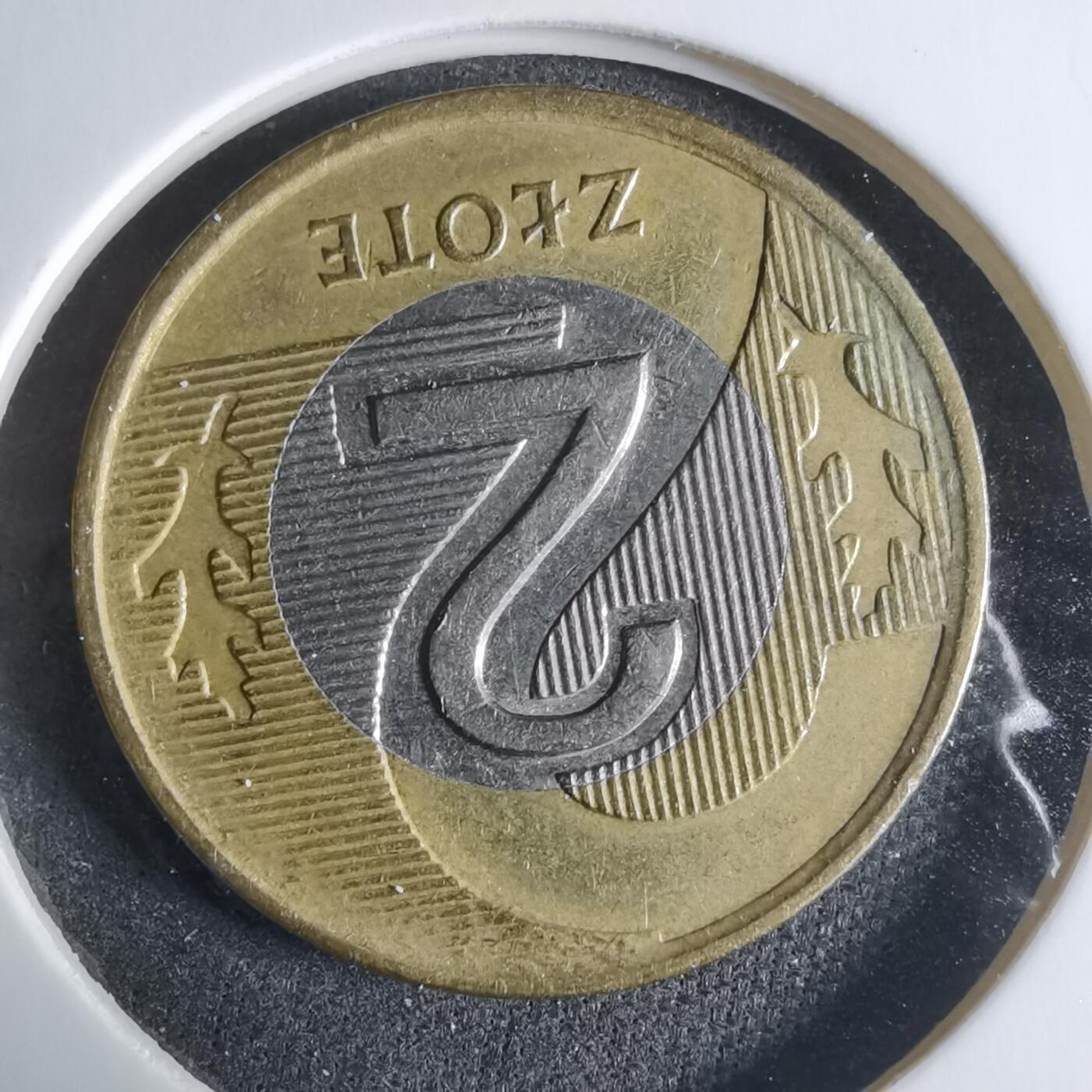 沼泽如烟--第917场