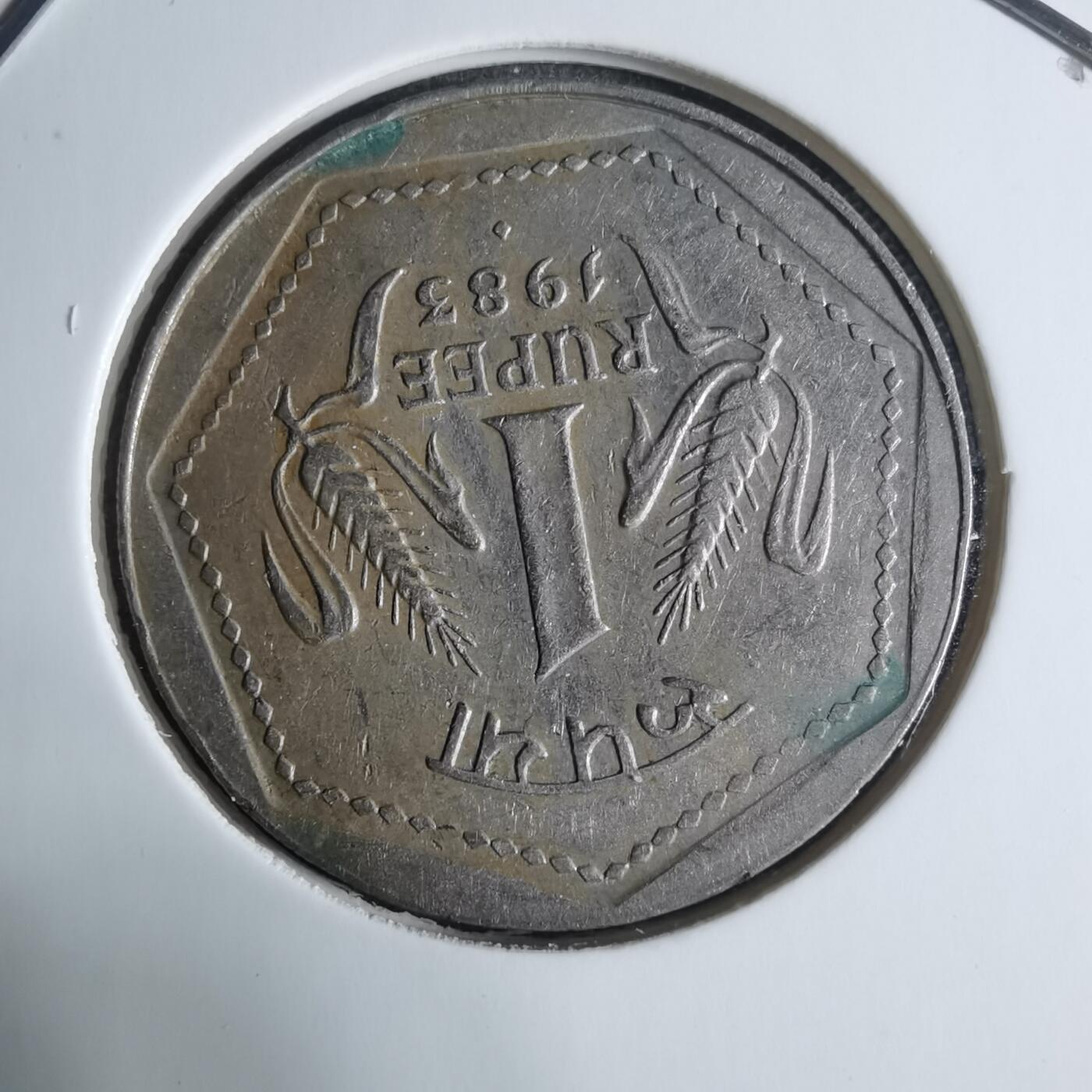 沼泽如烟--第917场