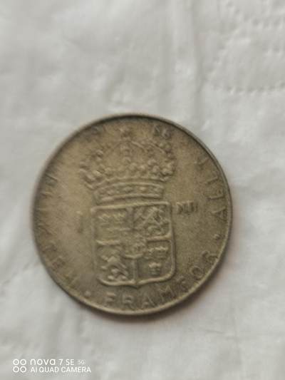 外国钱币 - 66年瑞典1克郎