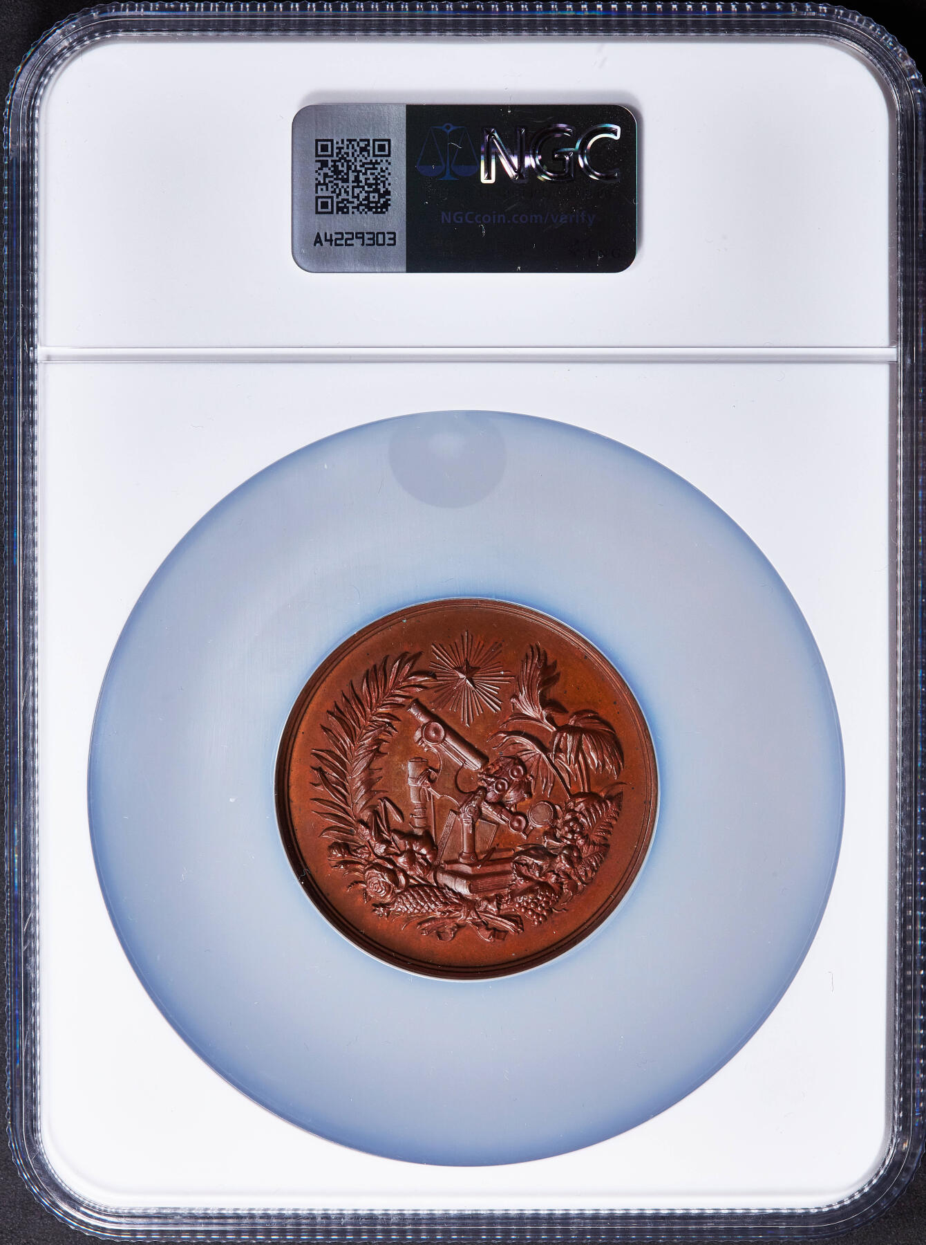 【俄甄集藏】2025年(045)12-03 星期三 晚 19:30 全场包邮 比利时1891年纪念安特卫普国际博览会大铜章，NGC MS62，红铜原包浆，高浮雕，雕刻家M·韦尔梅伦作品，直径：50mm，盒体边缘有小破损，见详图