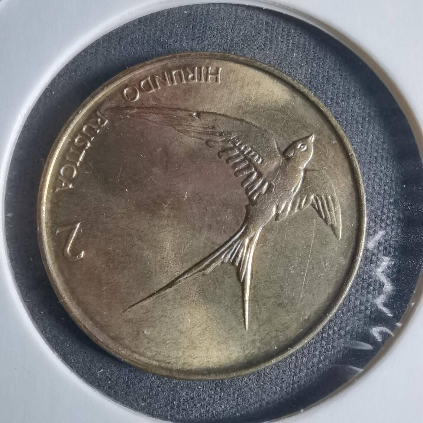 沼泽如烟--第917场