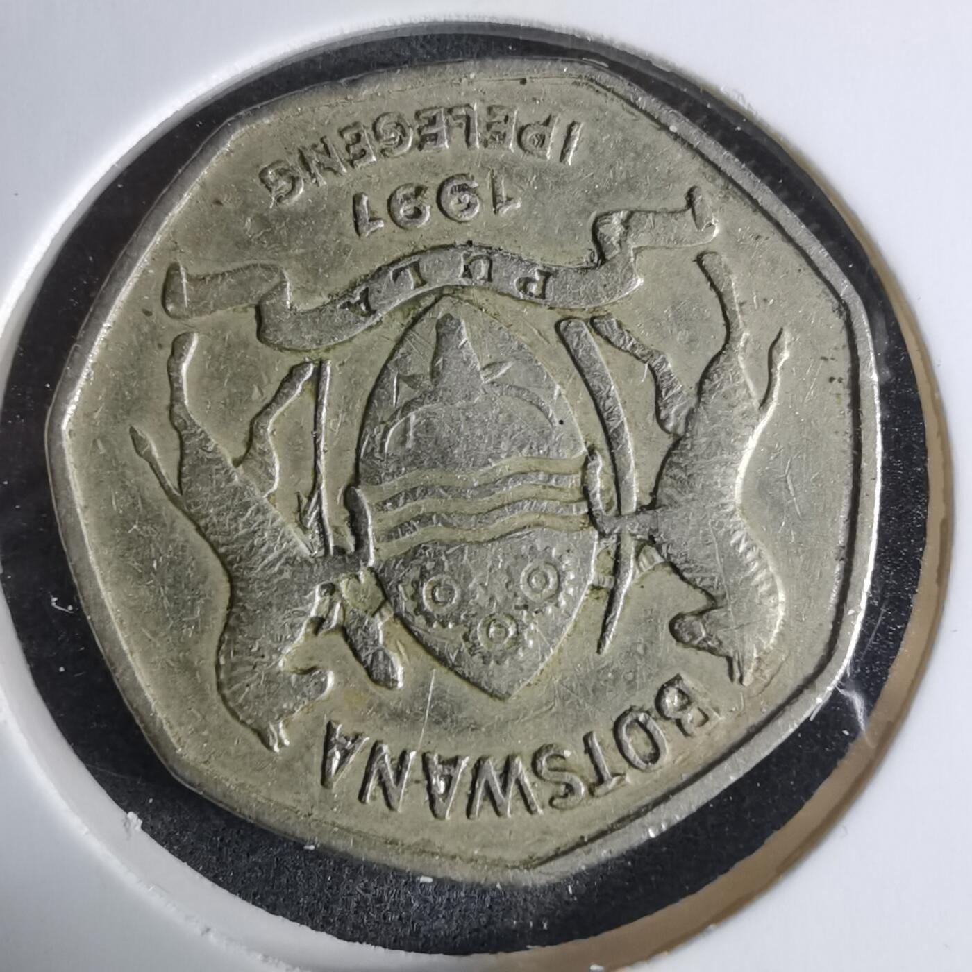 沼泽如烟--第917场