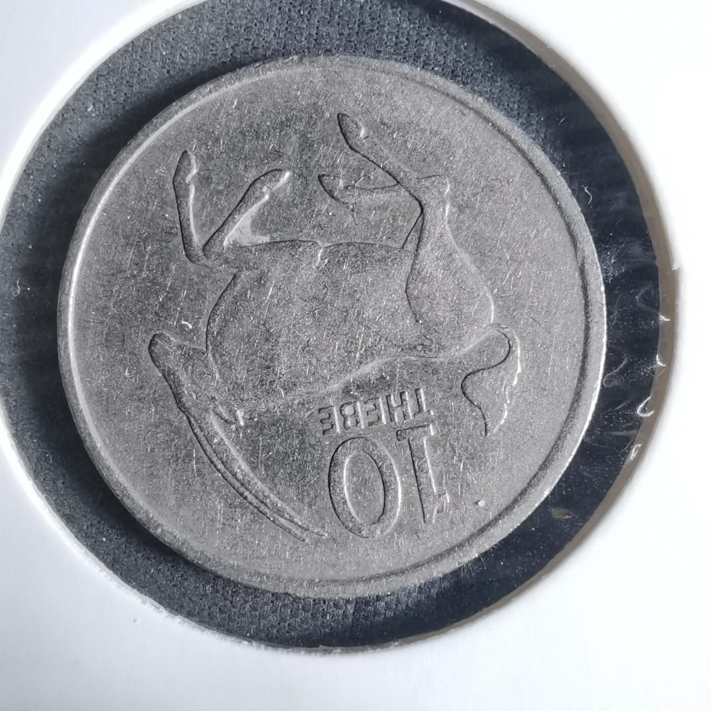 沼泽如烟--第917场