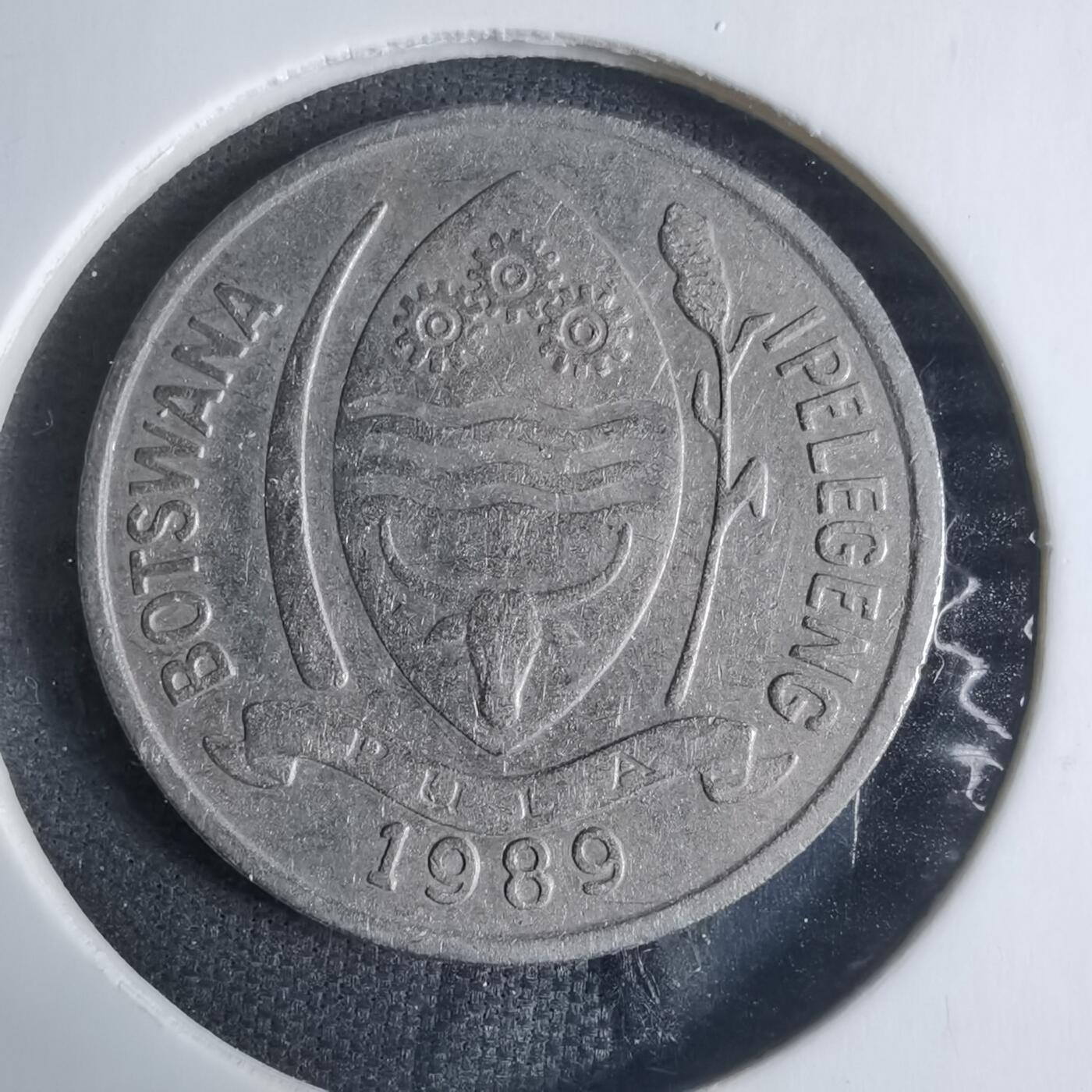 沼泽如烟--第917场