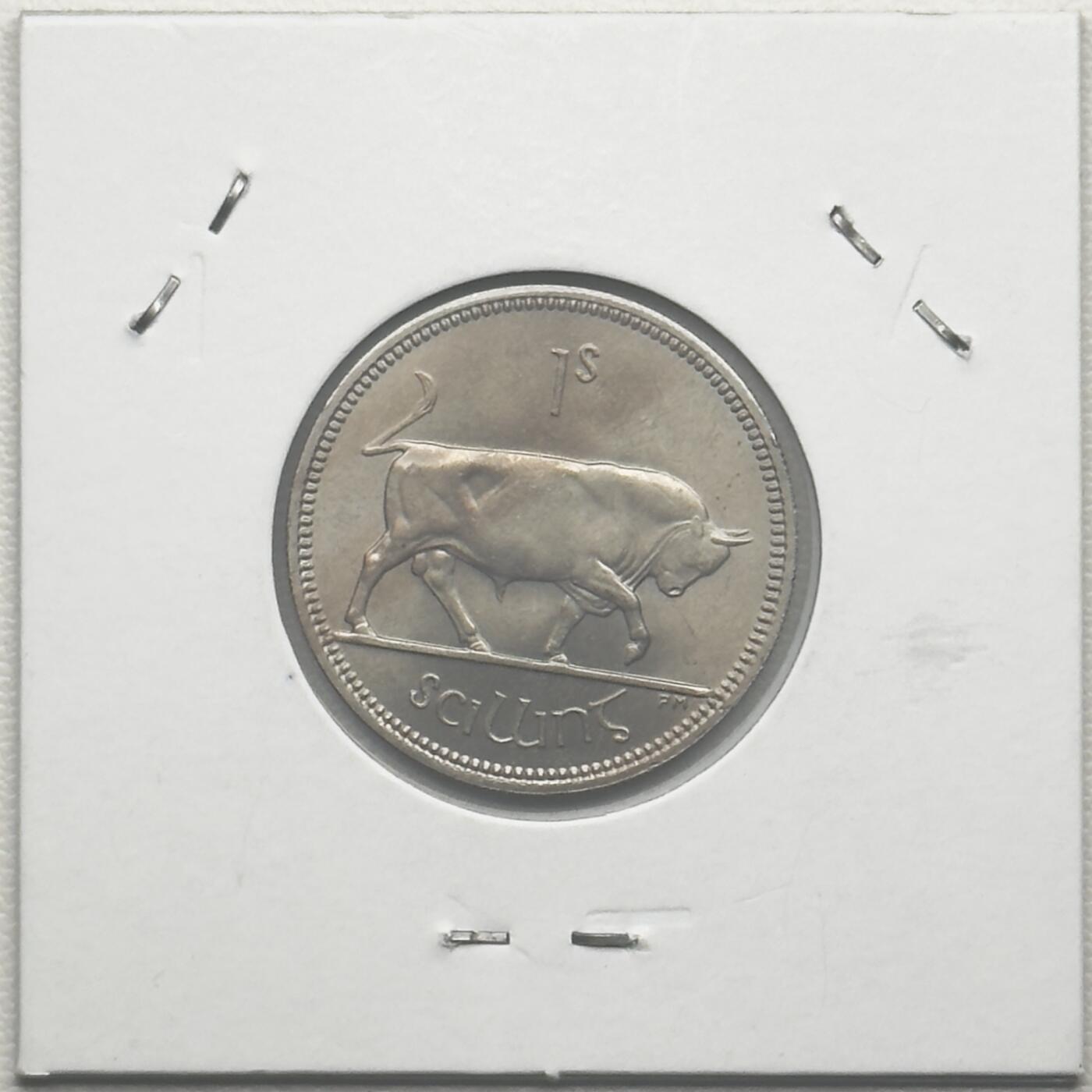 ＜小葵钱铺＞第66期·散币·银币场·满200包邮，不寄存·12月1号发货 爱尔兰1963年公牛1先令硬币