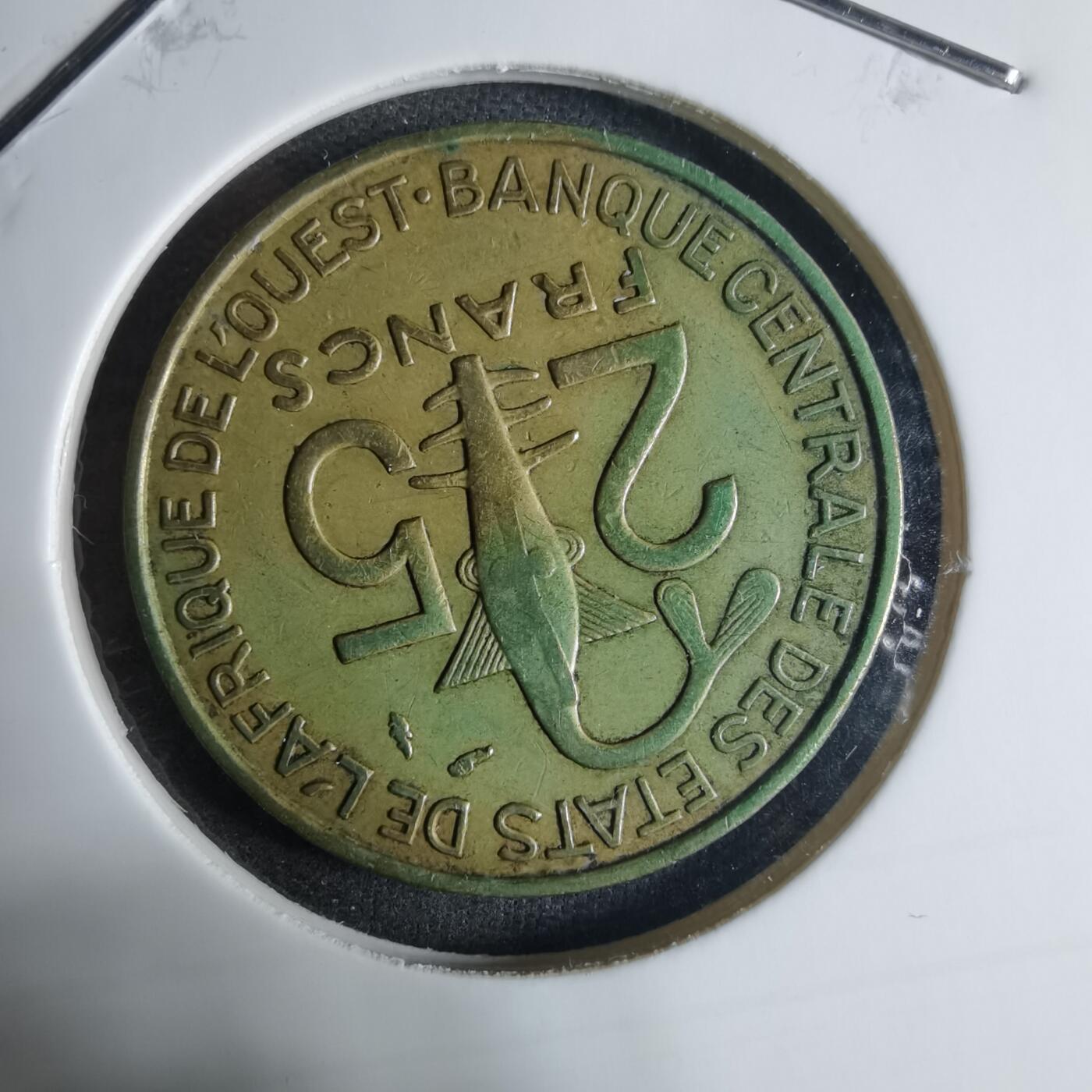 沼泽如烟--第917场