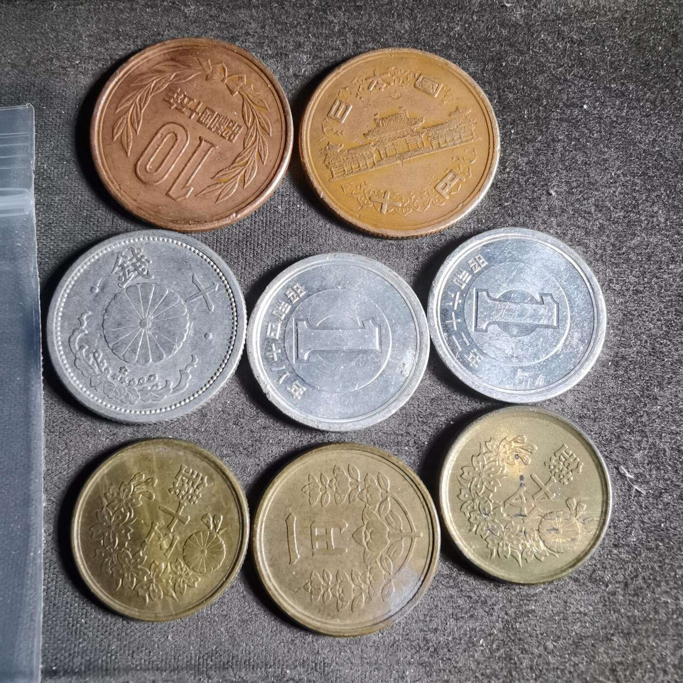 沼泽如烟--第917场