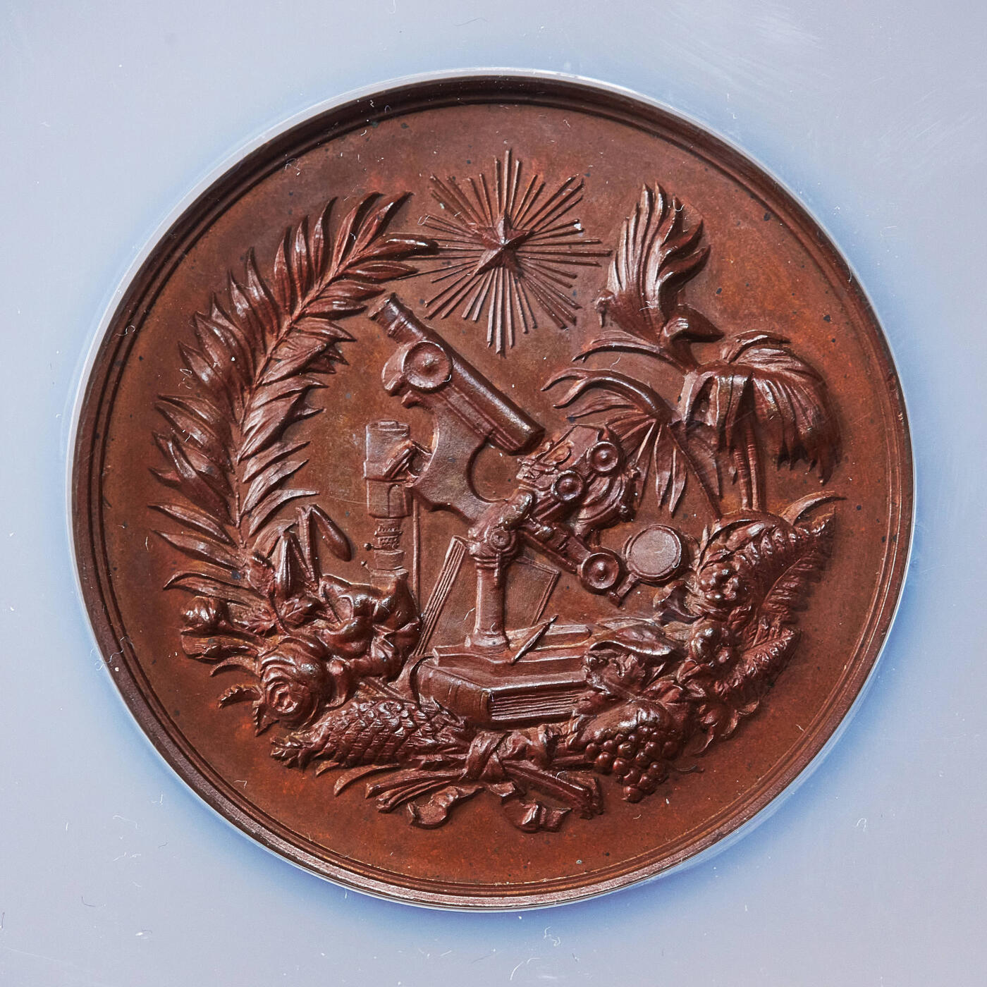 【俄甄集藏】2025年(045)12-03 星期三 晚 19:30 全场包邮 比利时1891年纪念安特卫普国际博览会大铜章，NGC MS62，红铜原包浆，高浮雕，雕刻家M·韦尔梅伦作品，直径：50mm，盒体边缘有小破损，见详图