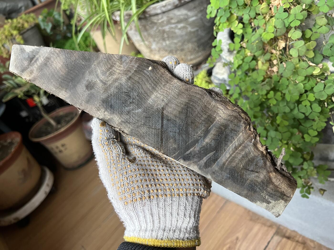 零元拍：NO.20 金丝楠牌子原料未打磨加工，果香满满，未打磨加工已经波光闪闪，尺寸约：33/8/1.3CM。