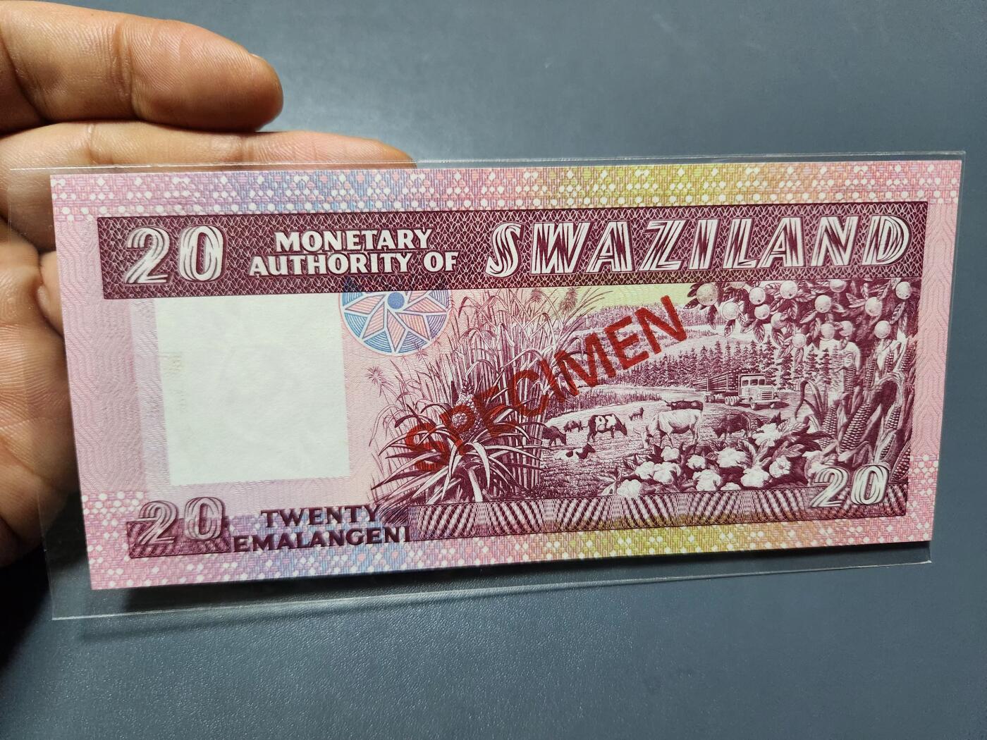 12月3号晚上8点 外国纸币自动截拍第67场 斯威士兰  20里兰吉尼 全新样票