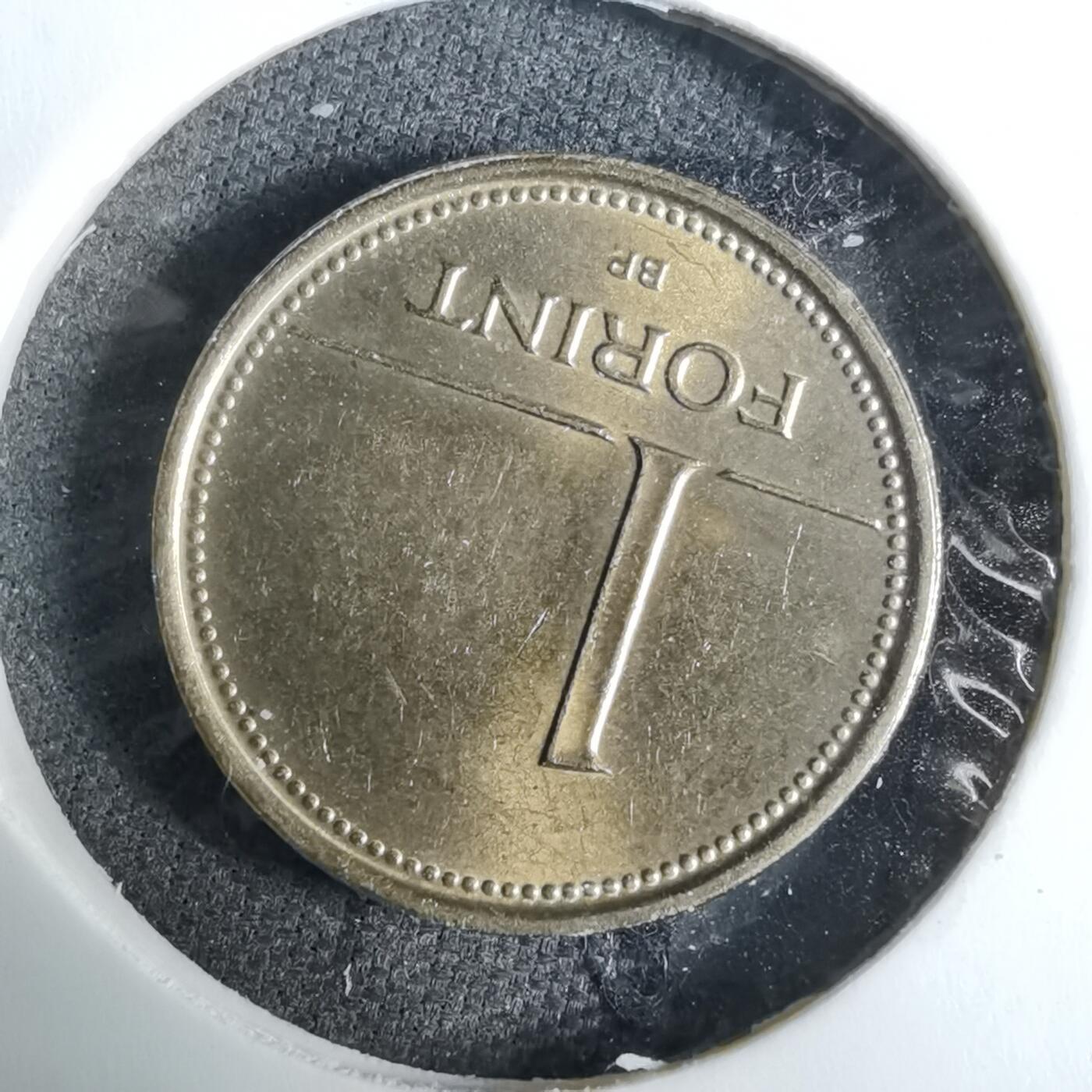 沼泽如烟--第918场