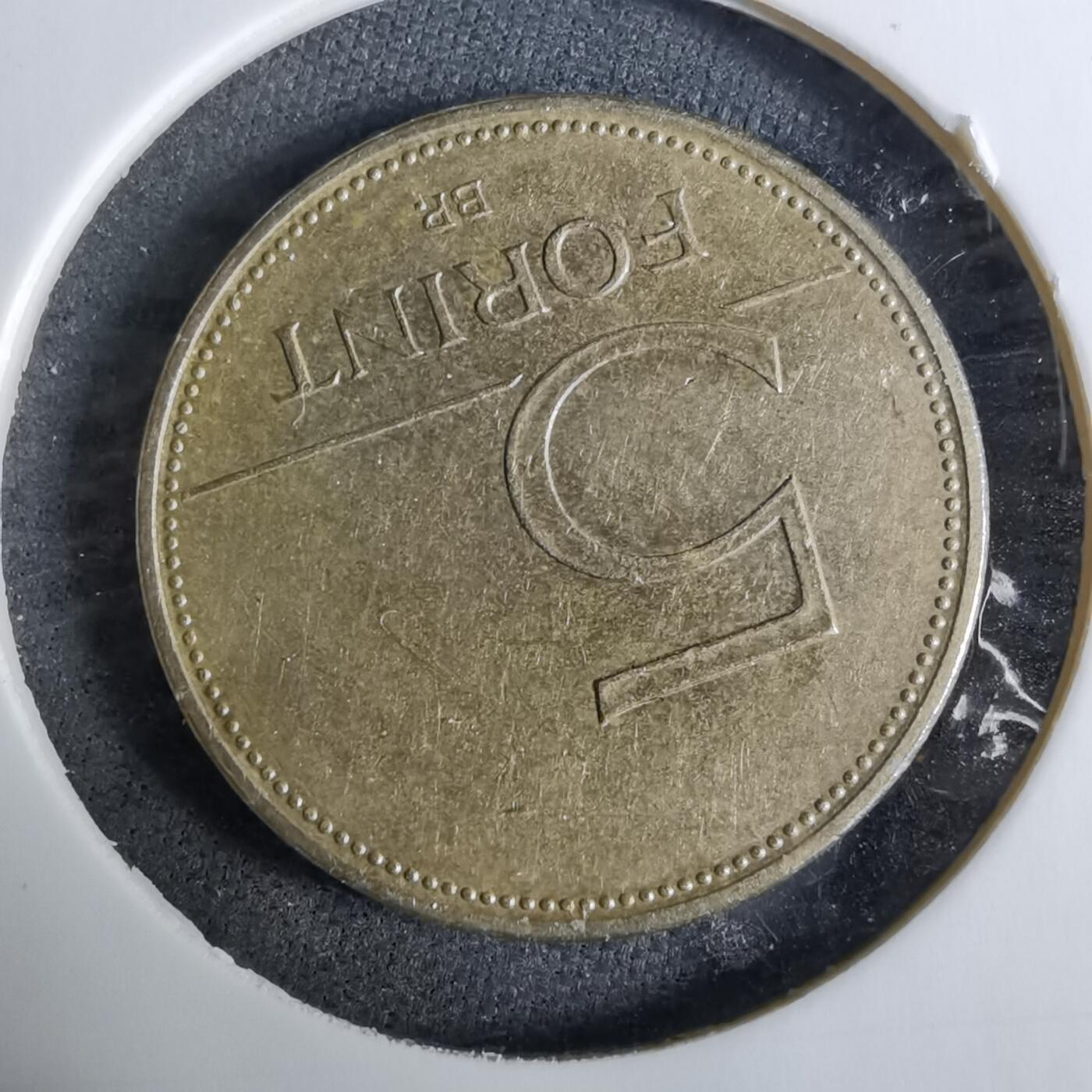 沼泽如烟--第918场