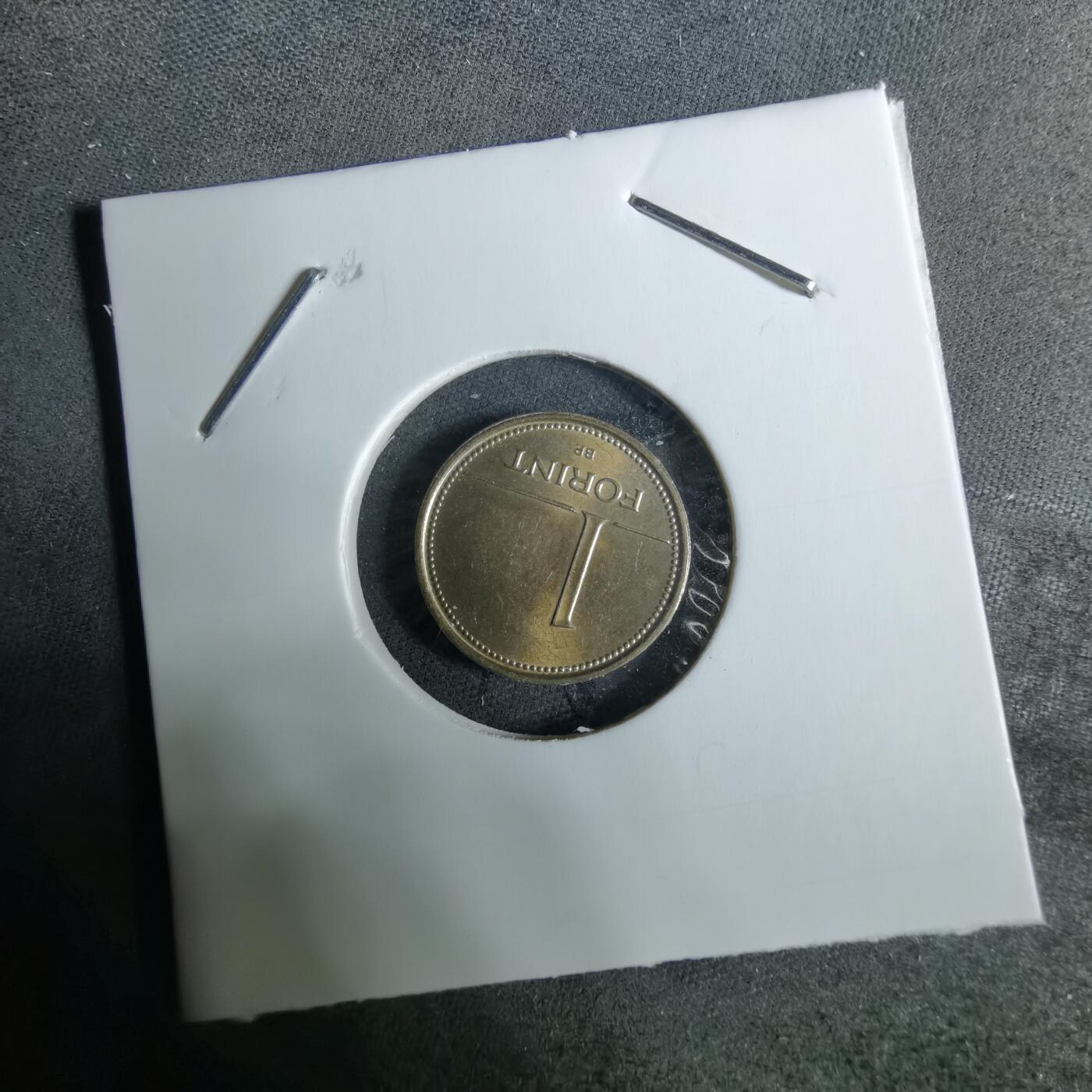 沼泽如烟--第918场