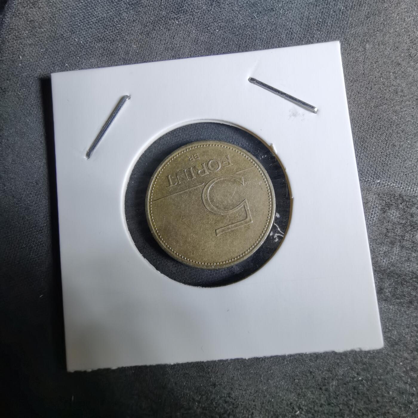 沼泽如烟--第918场