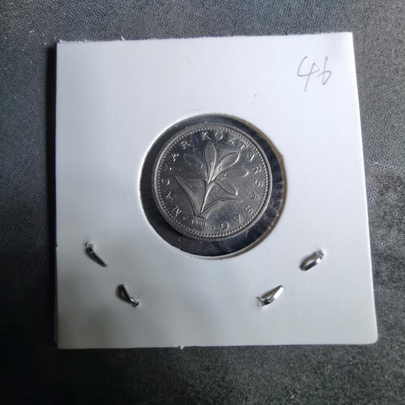 沼泽如烟--第918场