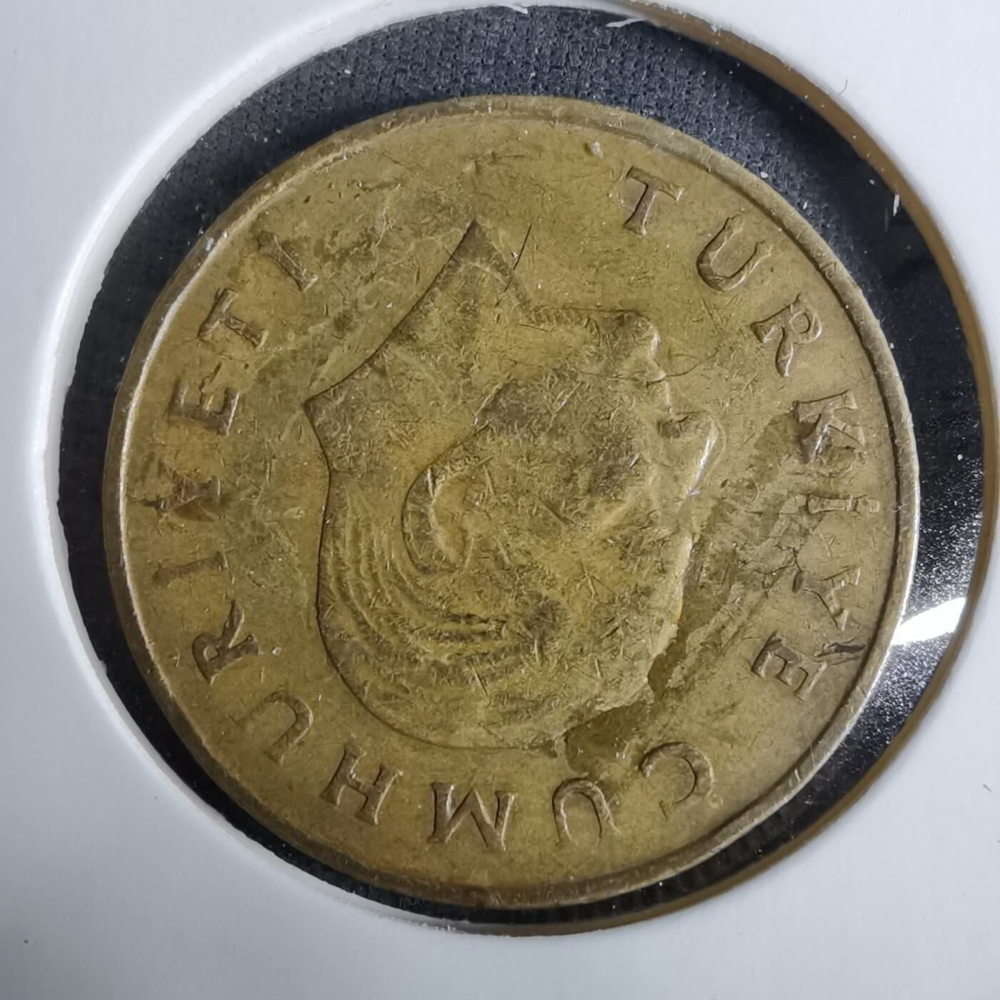 沼泽如烟--第918场