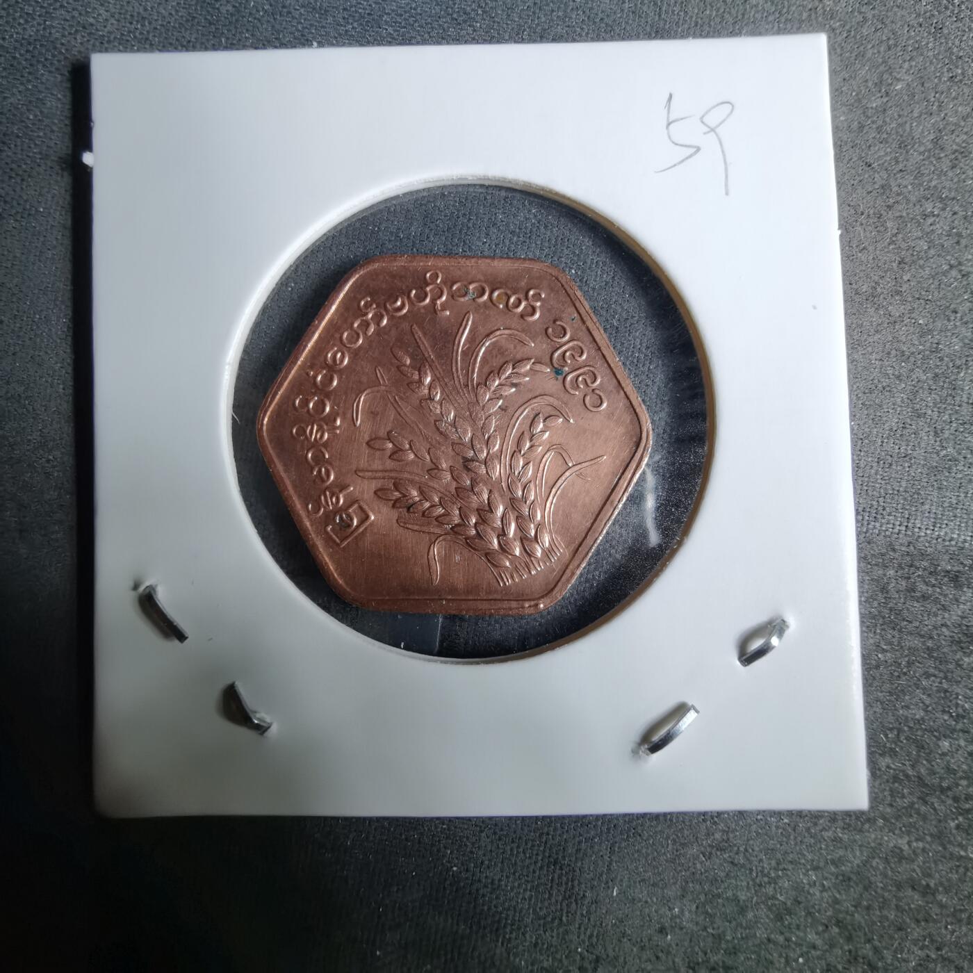 沼泽如烟--第918场