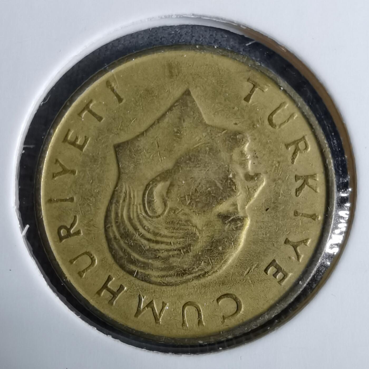 沼泽如烟--第918场