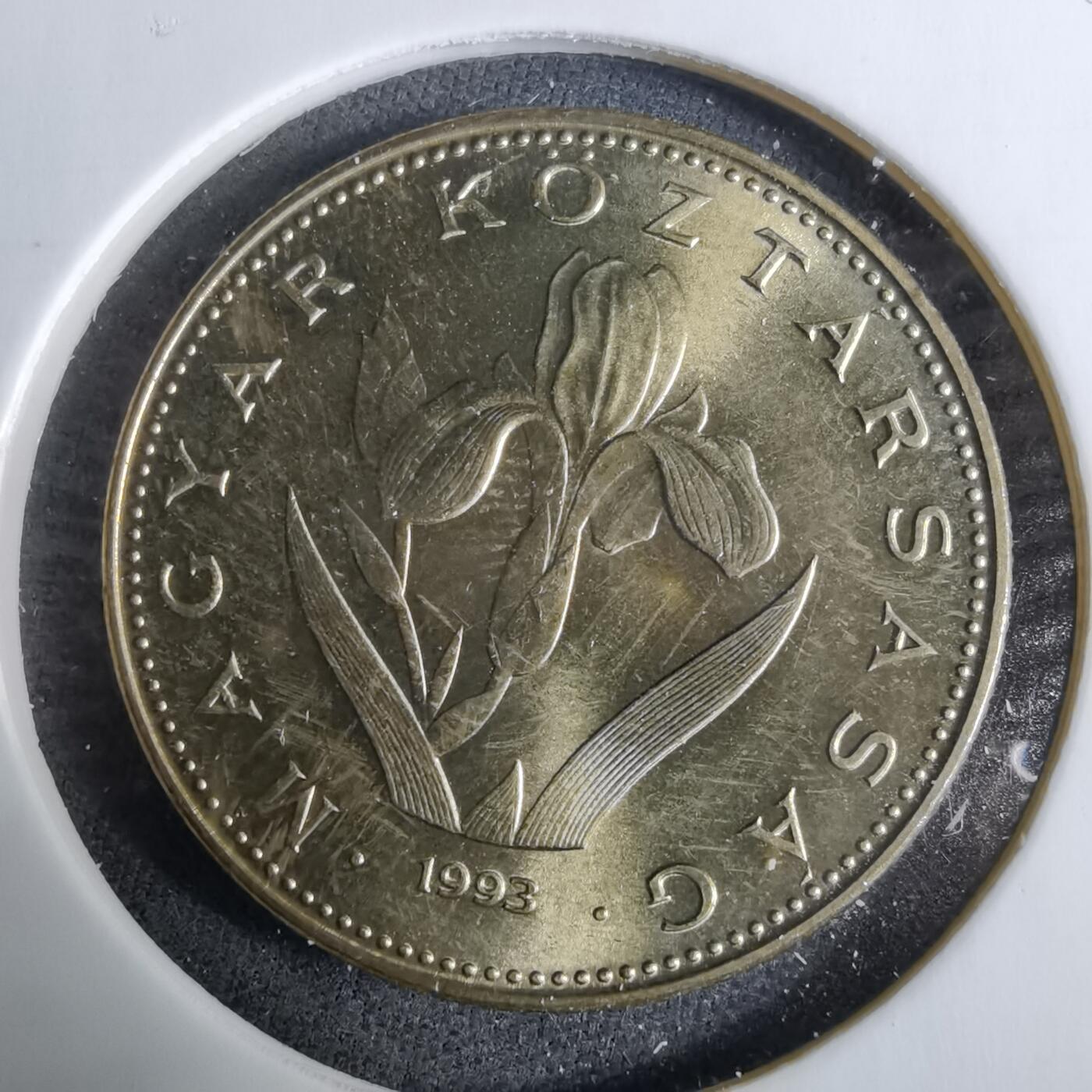 沼泽如烟--第918场