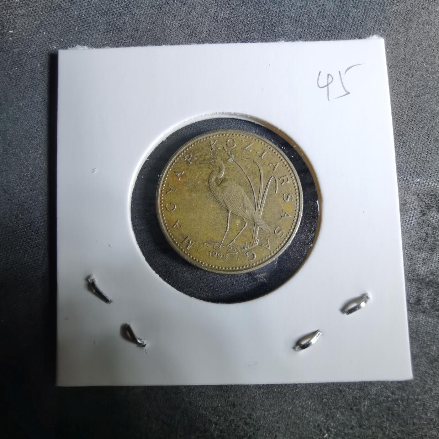 沼泽如烟--第918场