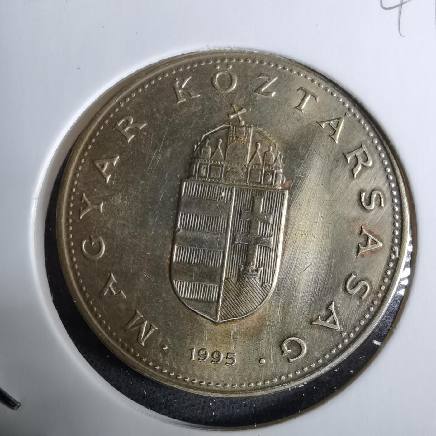 沼泽如烟--第918场