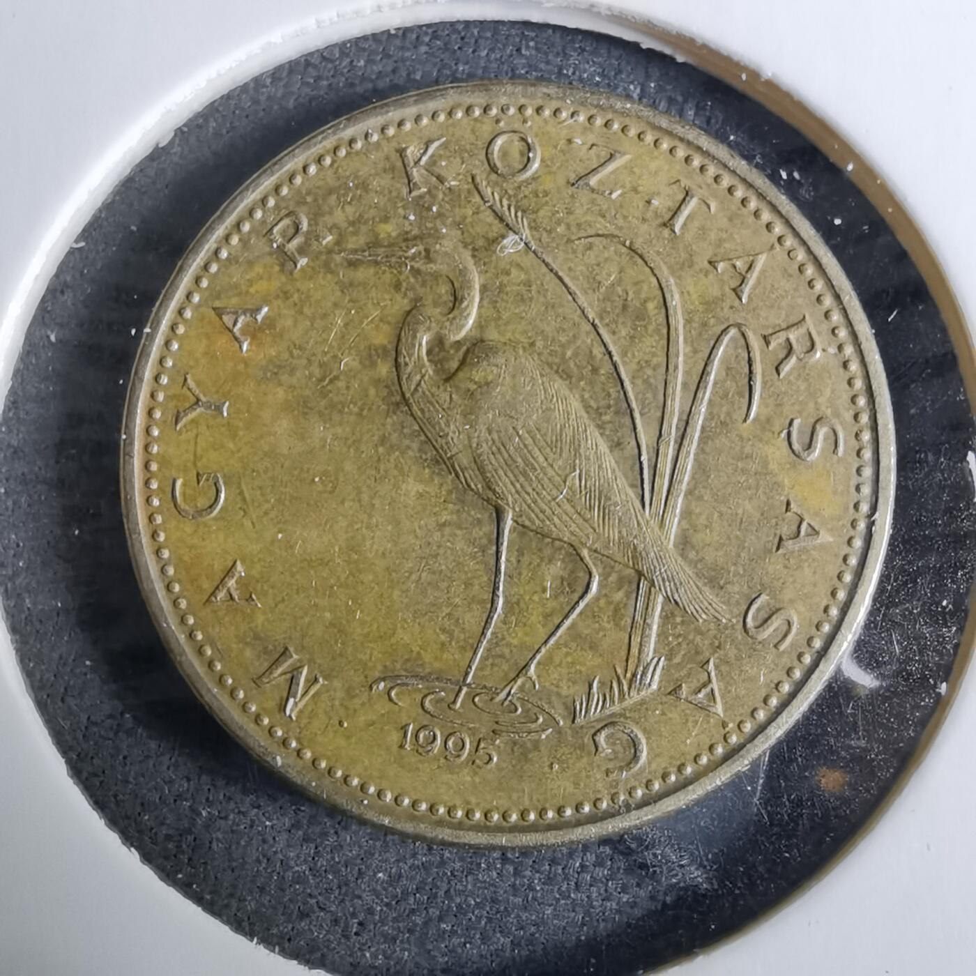 沼泽如烟--第918场