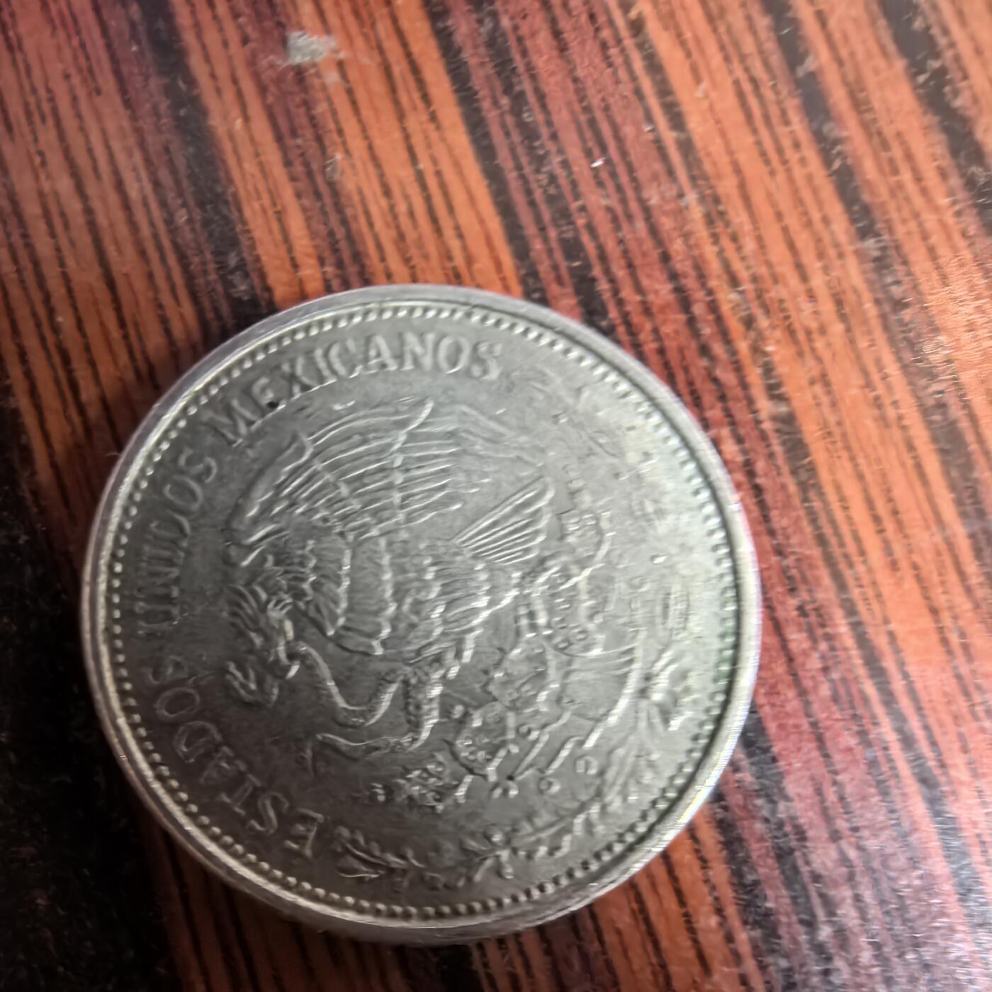 泡泡币外币第三十七场可代拍15038385335微信 墨西哥鹰叼蛇。