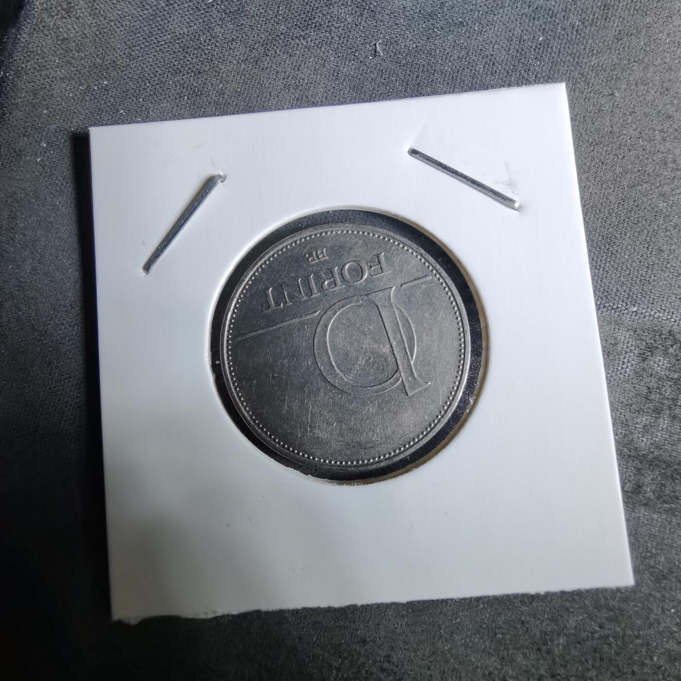 沼泽如烟--第918场