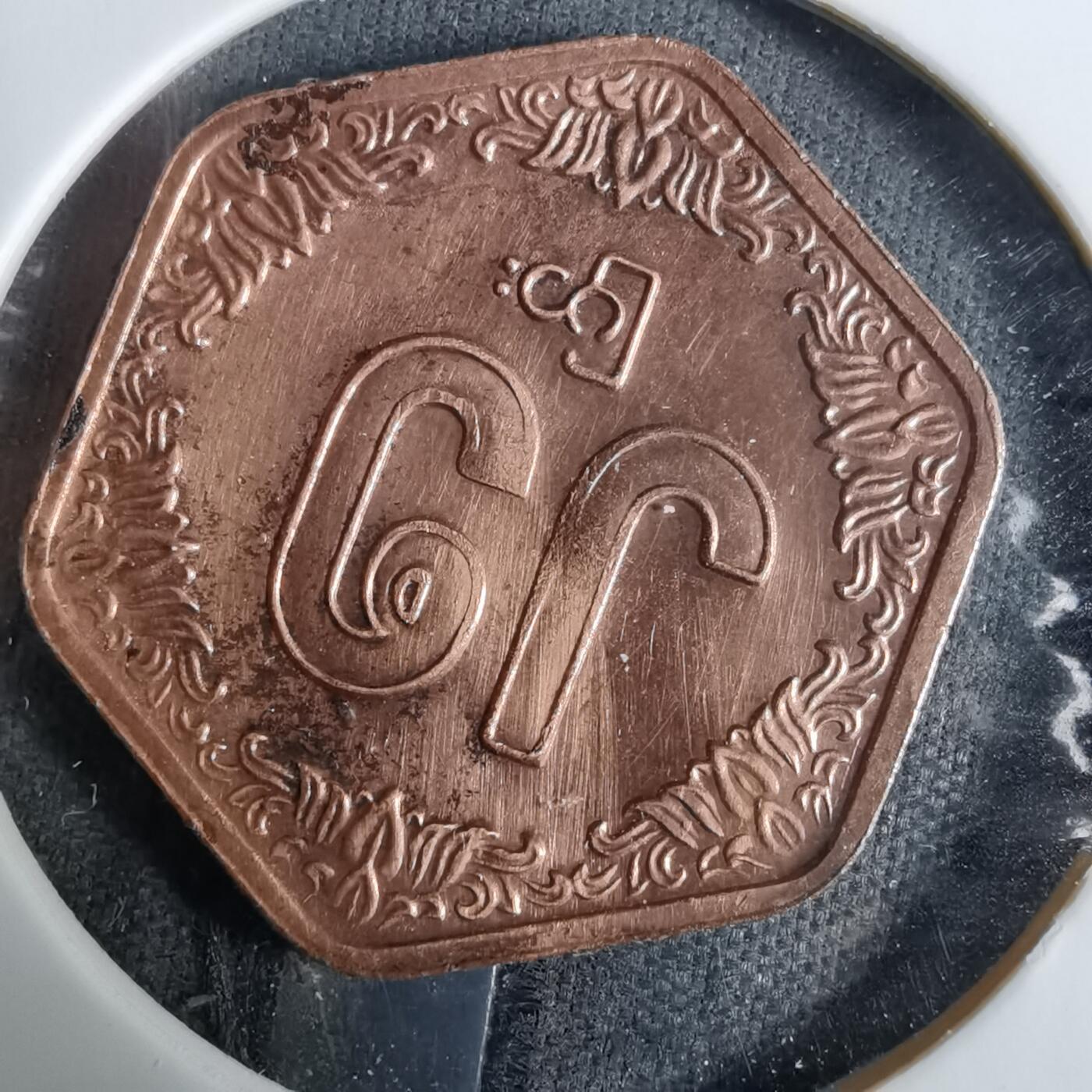 沼泽如烟--第918场