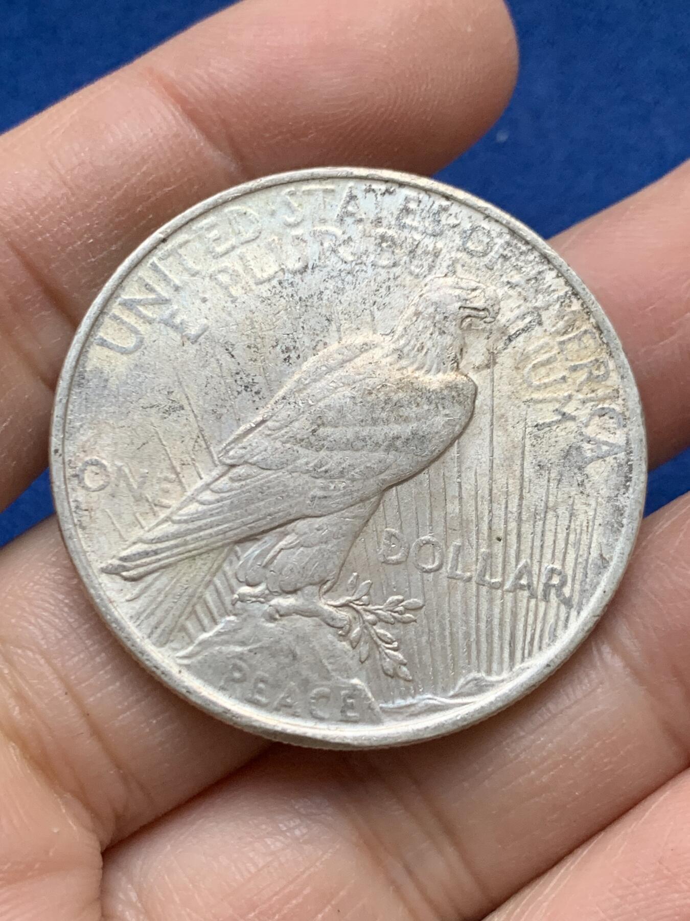 《竞宝斋》第443场 周日，周一，2场连拍 （全场包邮） 美国1922年和平银币，币面不平，微翘。