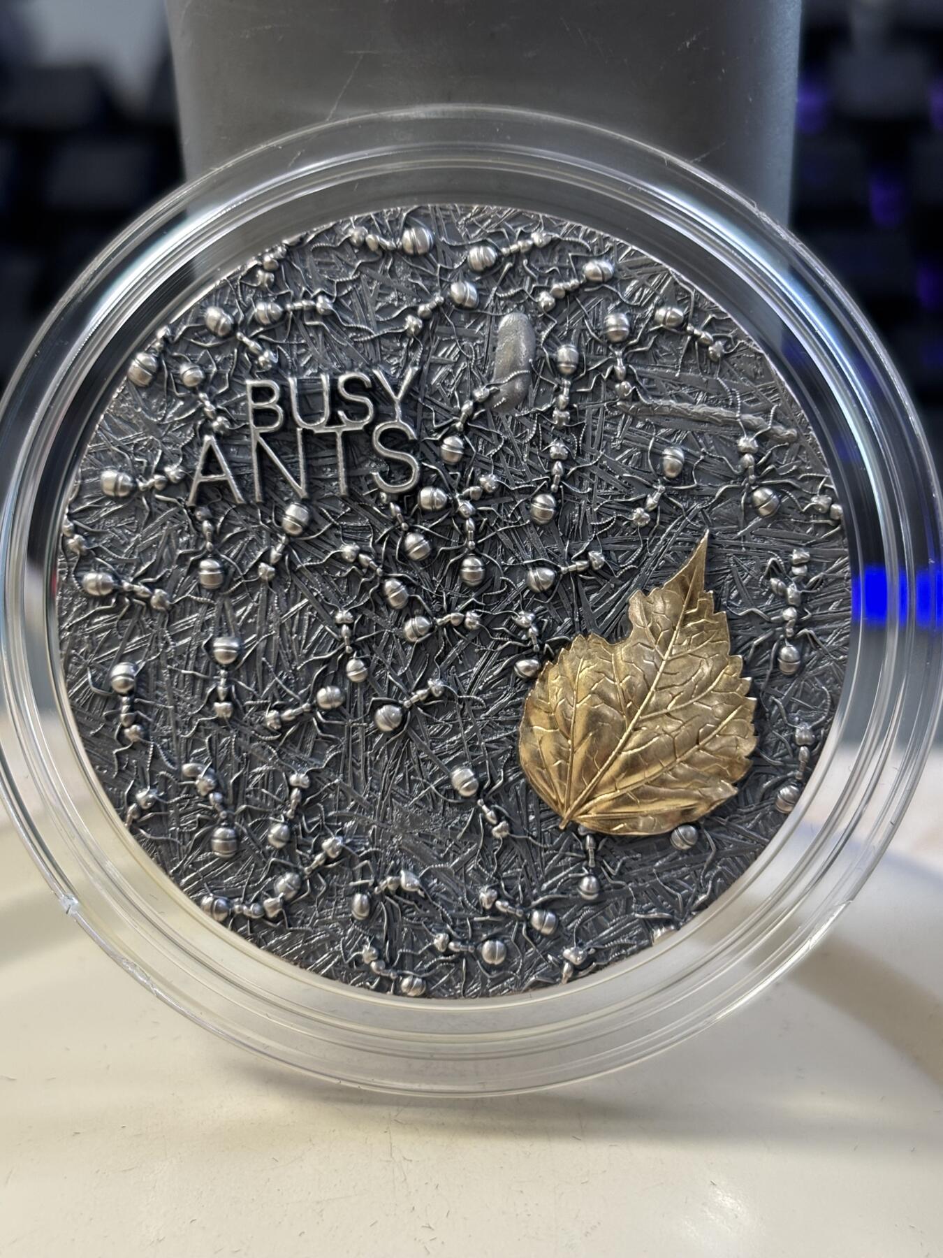 第184期拍卖 加纳2022年自然建筑师忙碌的蚂蚁2盎司纪念银币，999银，发行量500枚