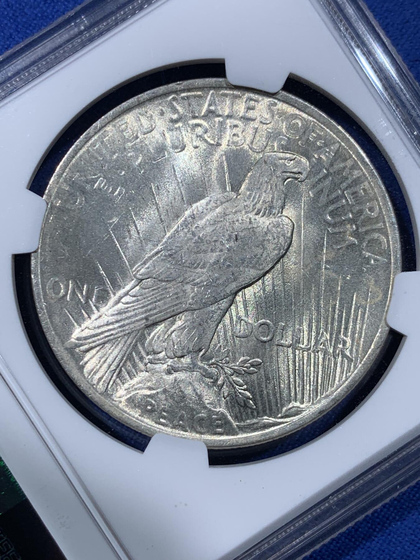 《竞宝斋》第443场 周日，周一，2场连拍 （全场包邮） NGC MS64 美国1923年和平一元银币