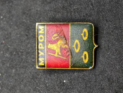 凯旋世界勋赏（第20期）（欢迎送拍）（对拍品有疑问请询问客服，不接受到手刀，出价默认拍品品相。请认真阅读拍卖规则！出价默认已认可！）（收到货请录制开箱视频，无视频概不处理问题。） - 小徽章