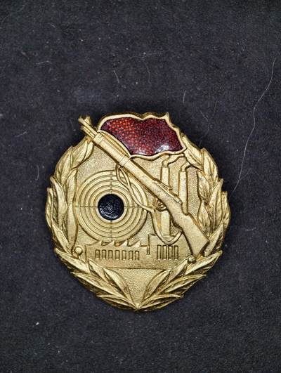 凯旋世界勋赏（第20期）（欢迎送拍）（对拍品有疑问请询问客服，不接受到手刀，出价默认拍品品相。请认真阅读拍卖规则！出价默认已认可！）（收到货请录制开箱视频，无视频概不处理问题。） - DDR射击证章