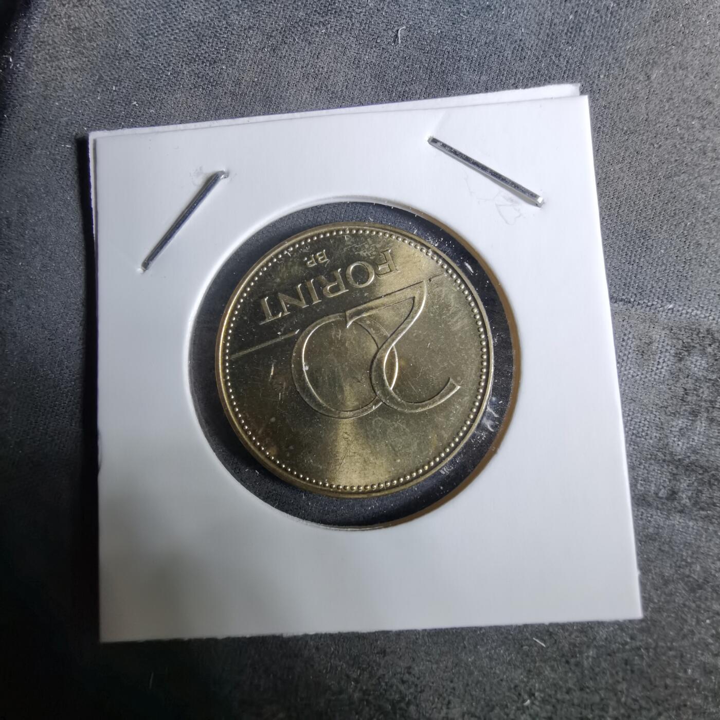 沼泽如烟--第918场