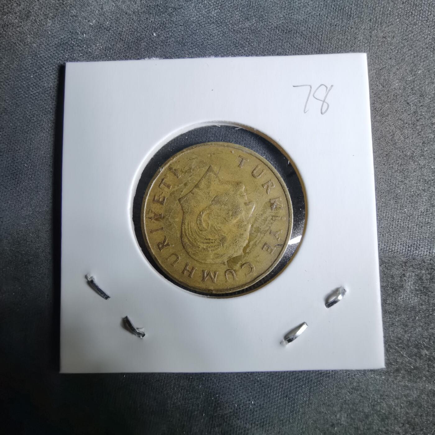 沼泽如烟--第918场