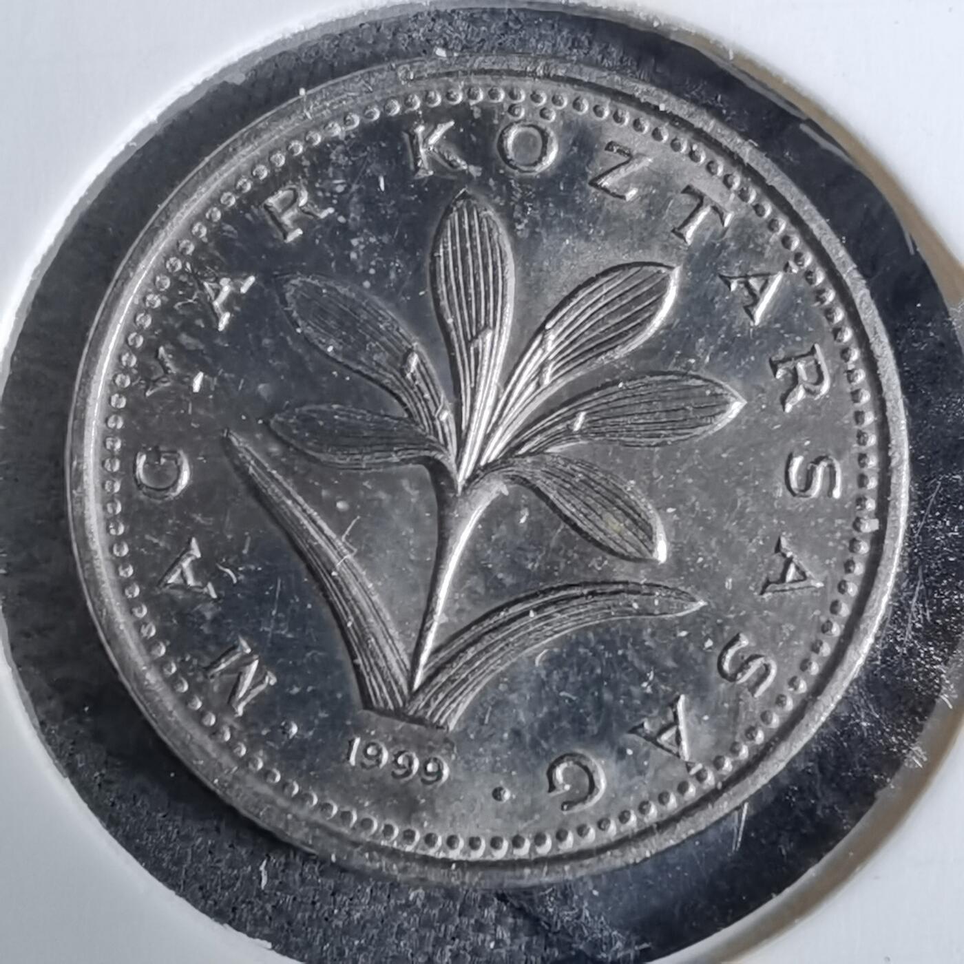 沼泽如烟--第918场