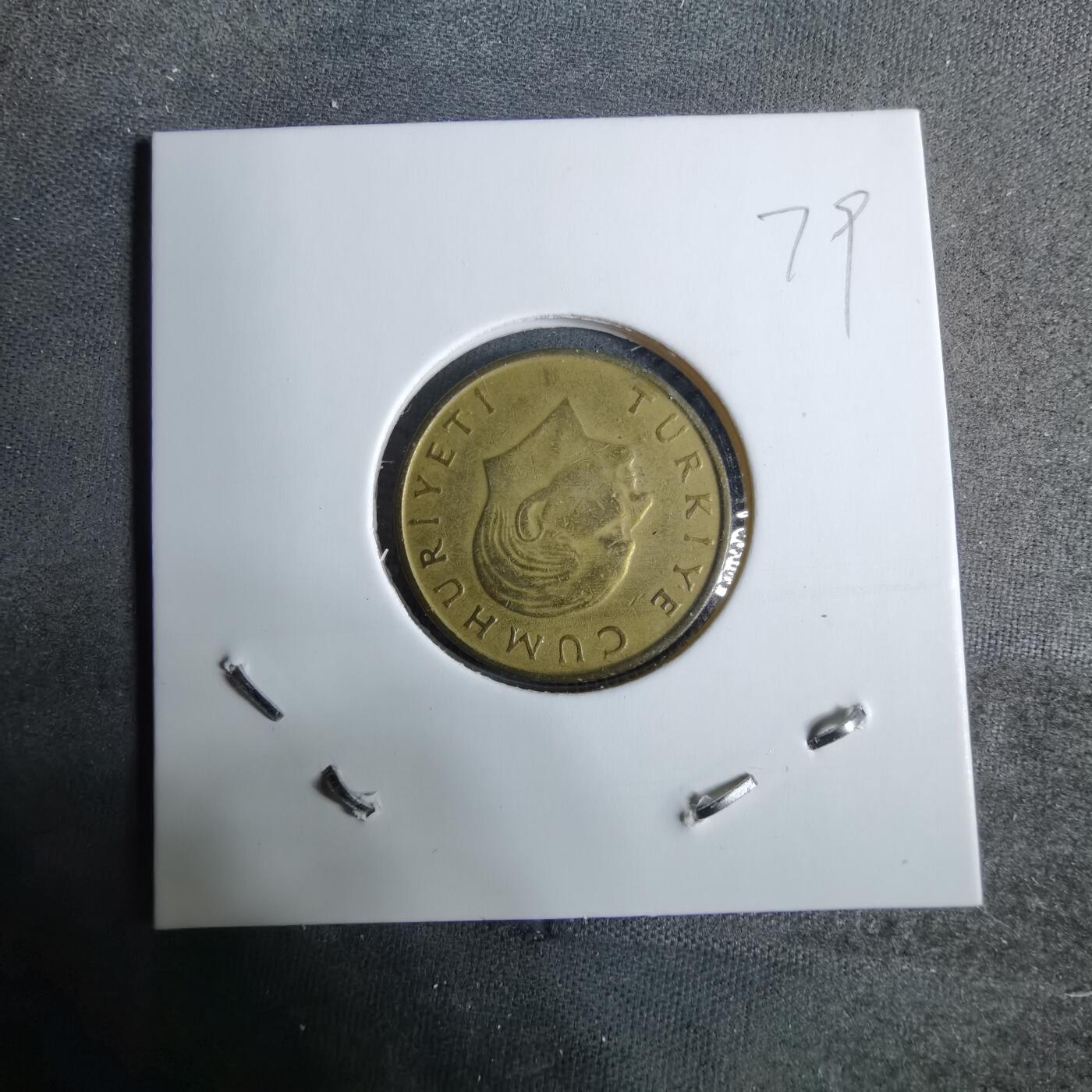 沼泽如烟--第918场