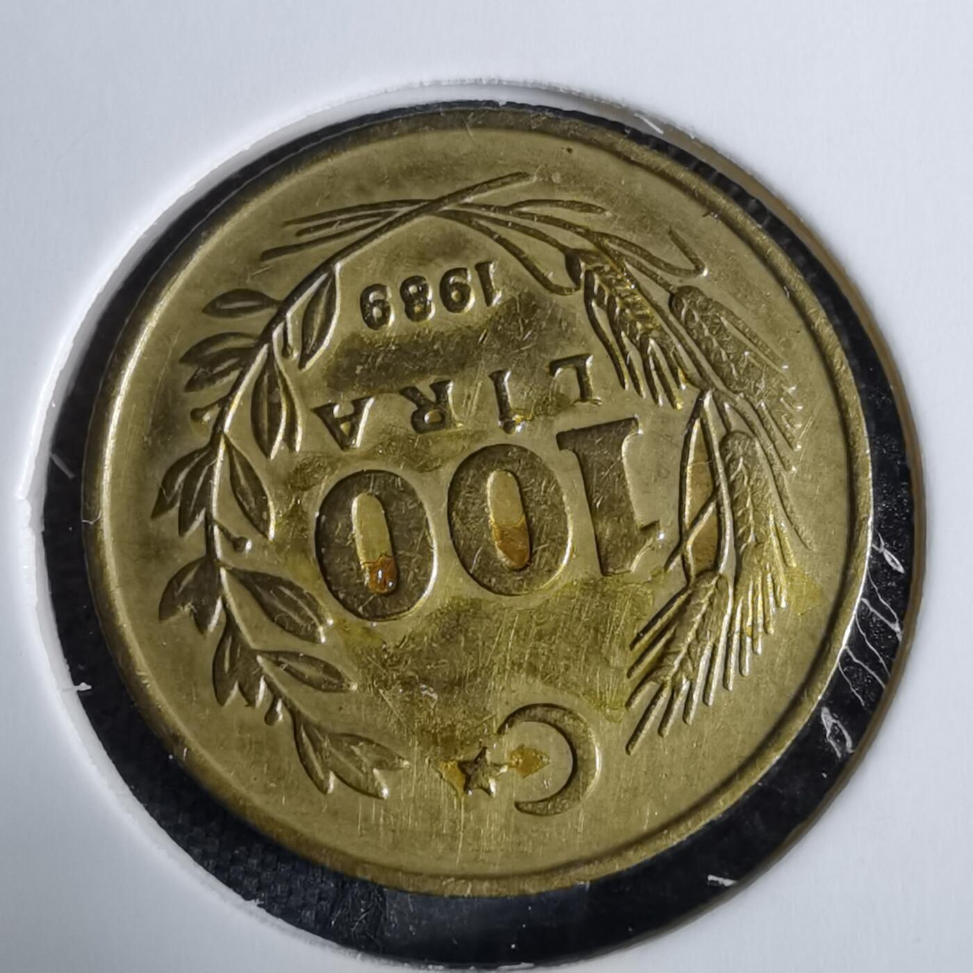 沼泽如烟--第918场