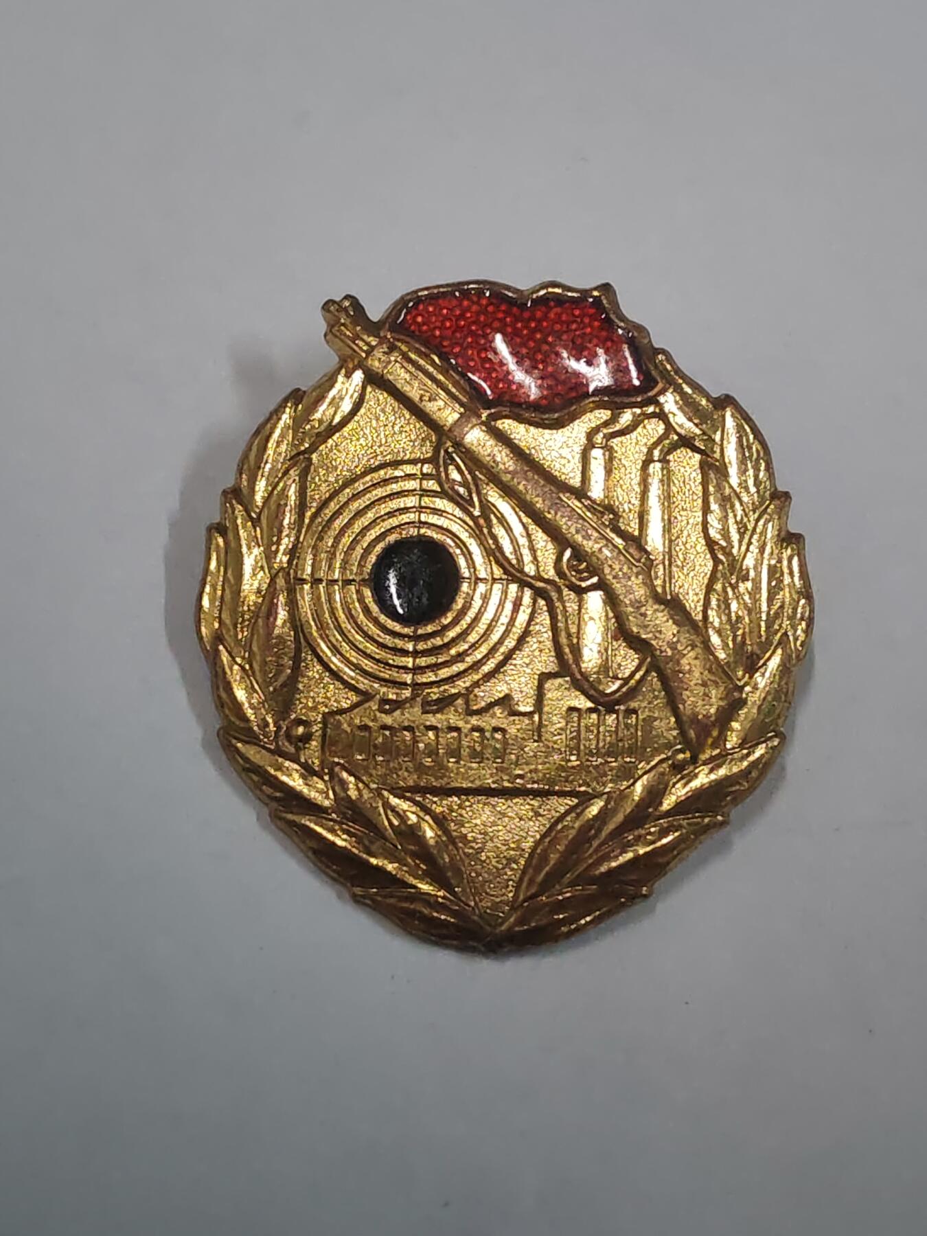 韵星假日拍卖第三十一期 -- Rimey Holidays Auction 31 民主德国工战队金级射击技能证章