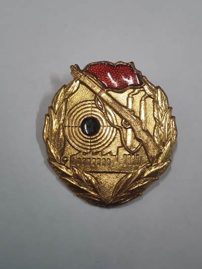 韵星假日拍卖第三十一期 -- Rimey Holidays Auction 31 - 民主德国工战队金级射击技能证章