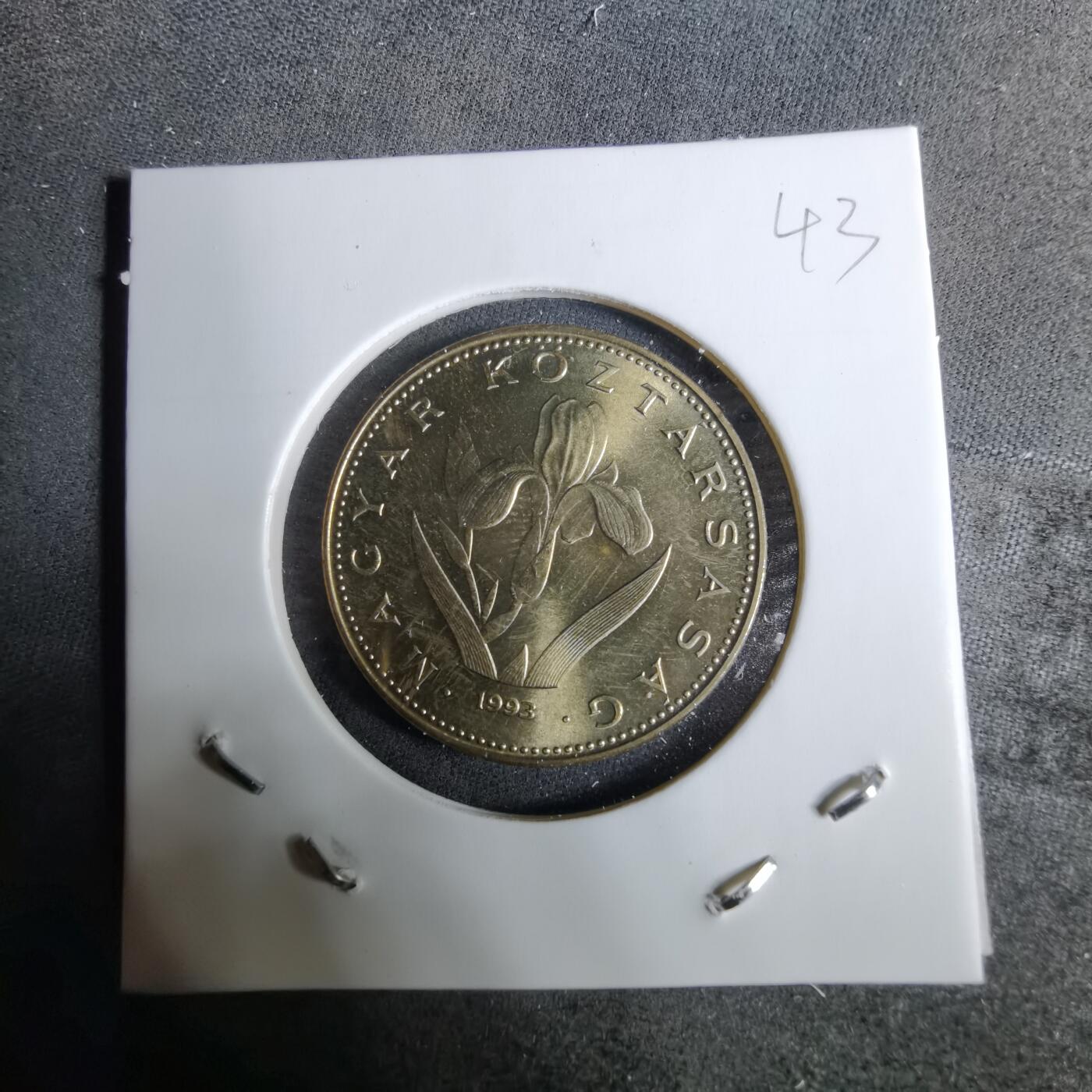 沼泽如烟--第918场