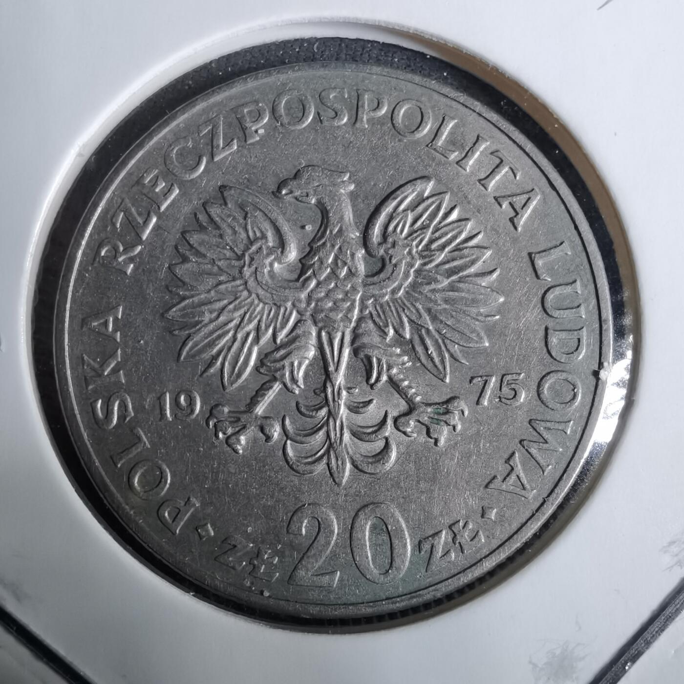 沼泽如烟--第918场