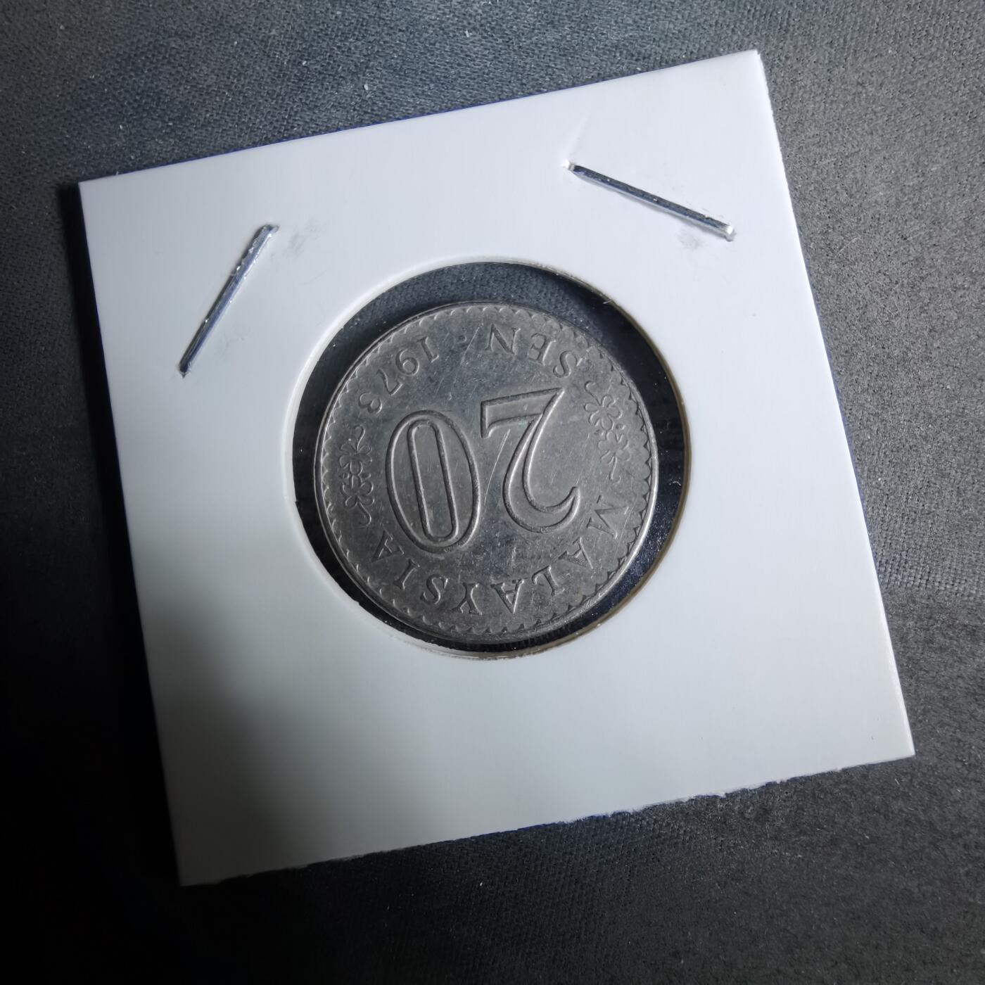 沼泽如烟--第918场