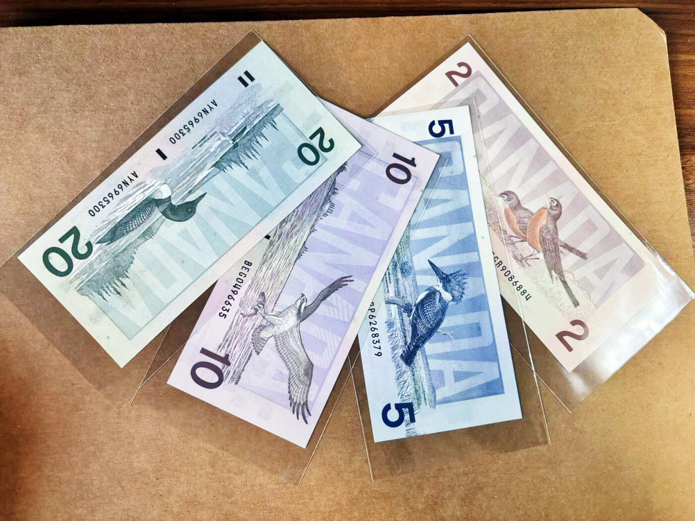 【Blue Auction】世界纸币精拍第757期——18级TOP拍卖/信誉/品质/专业/高效💫 【一组4张】加拿大2-20元 全新UNC