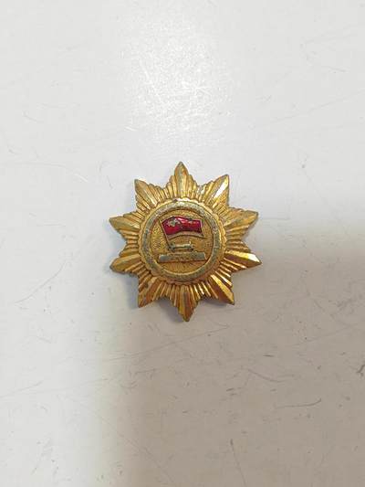 先进个人证章 - 先进个人证章