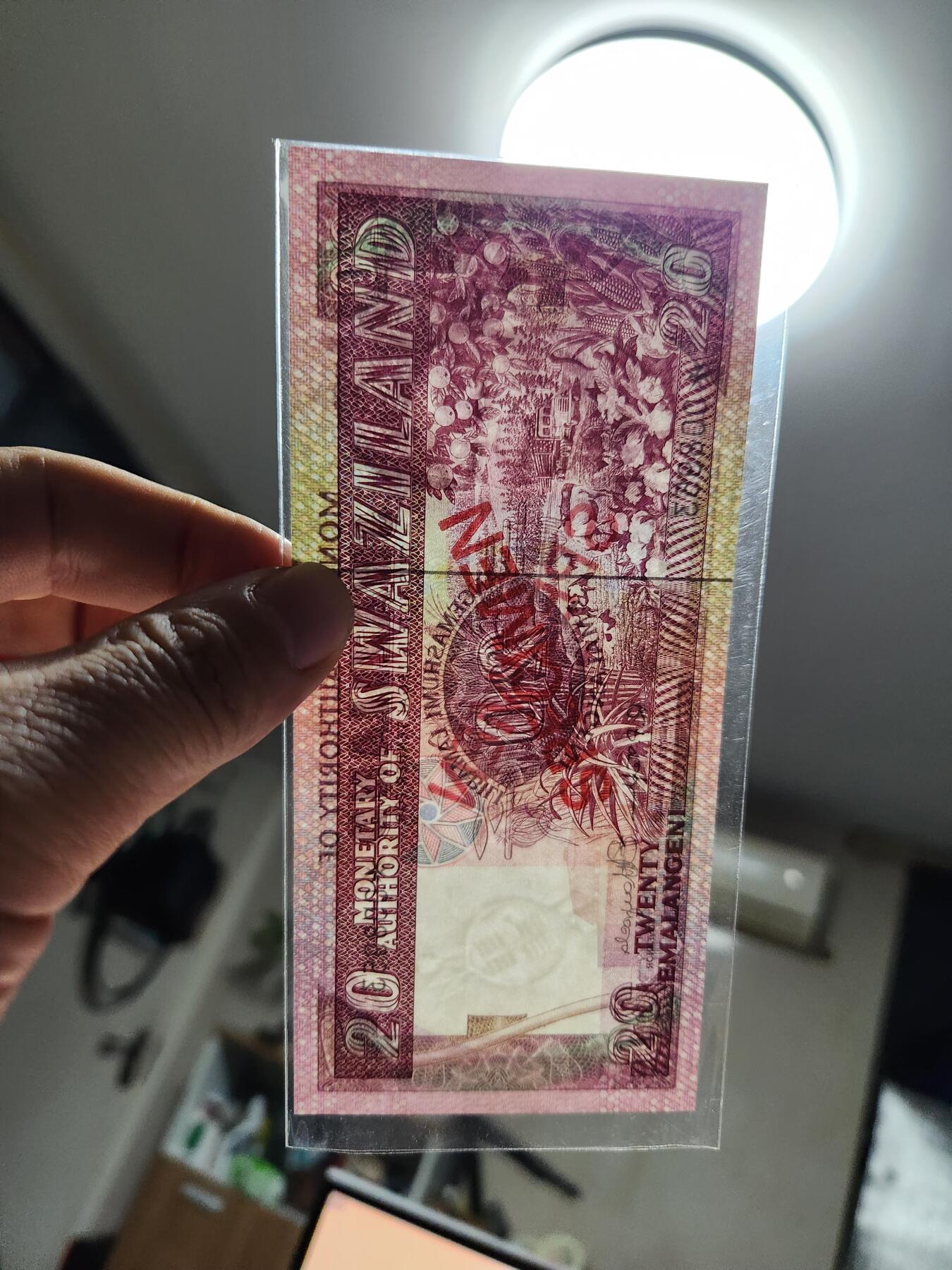 12月3号晚上8点 外国纸币自动截拍第67场 斯威士兰  20里兰吉尼 全新样票