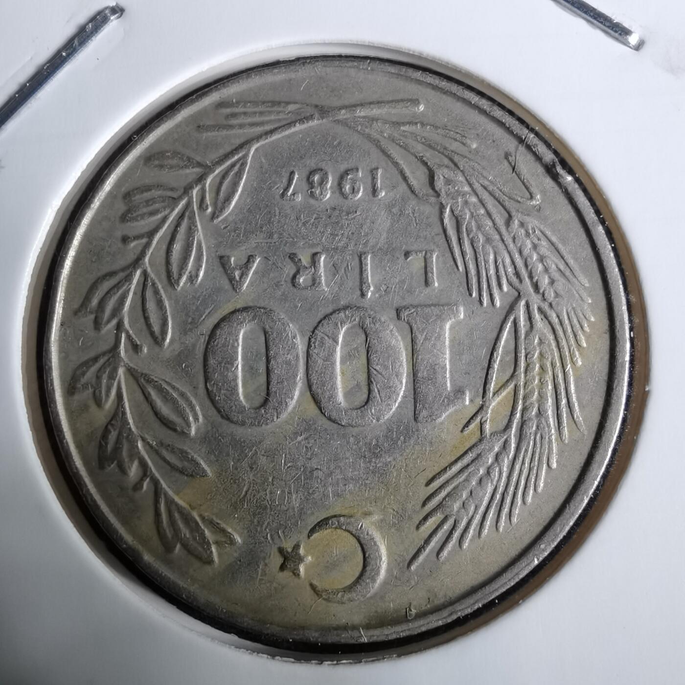 沼泽如烟--第918场